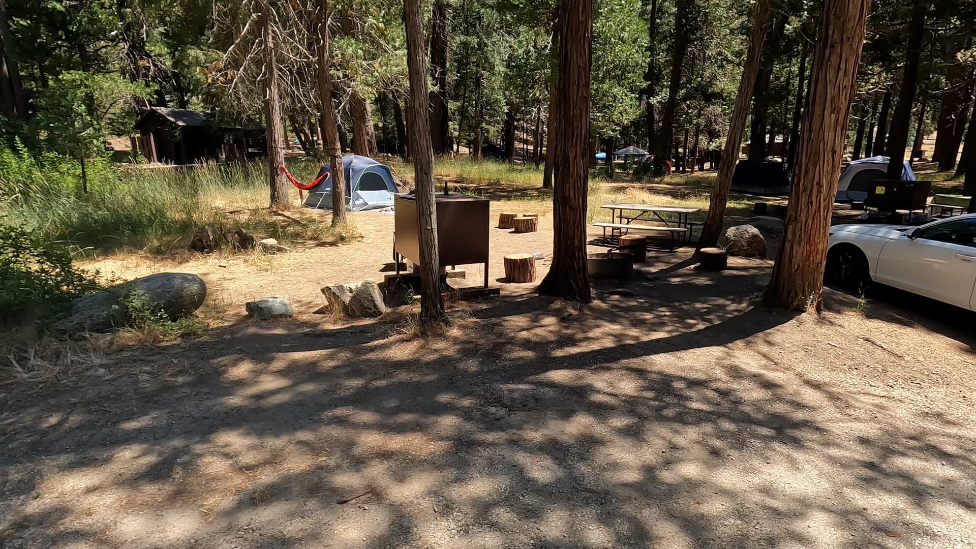 Site 79