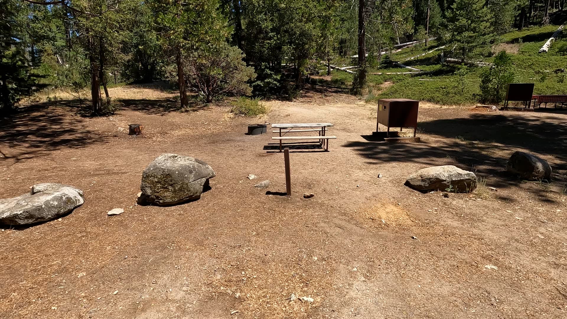 Site 82