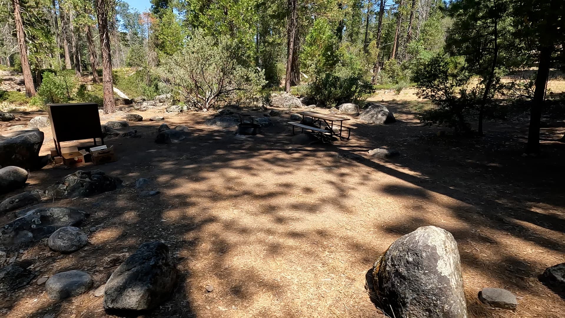 Site 81