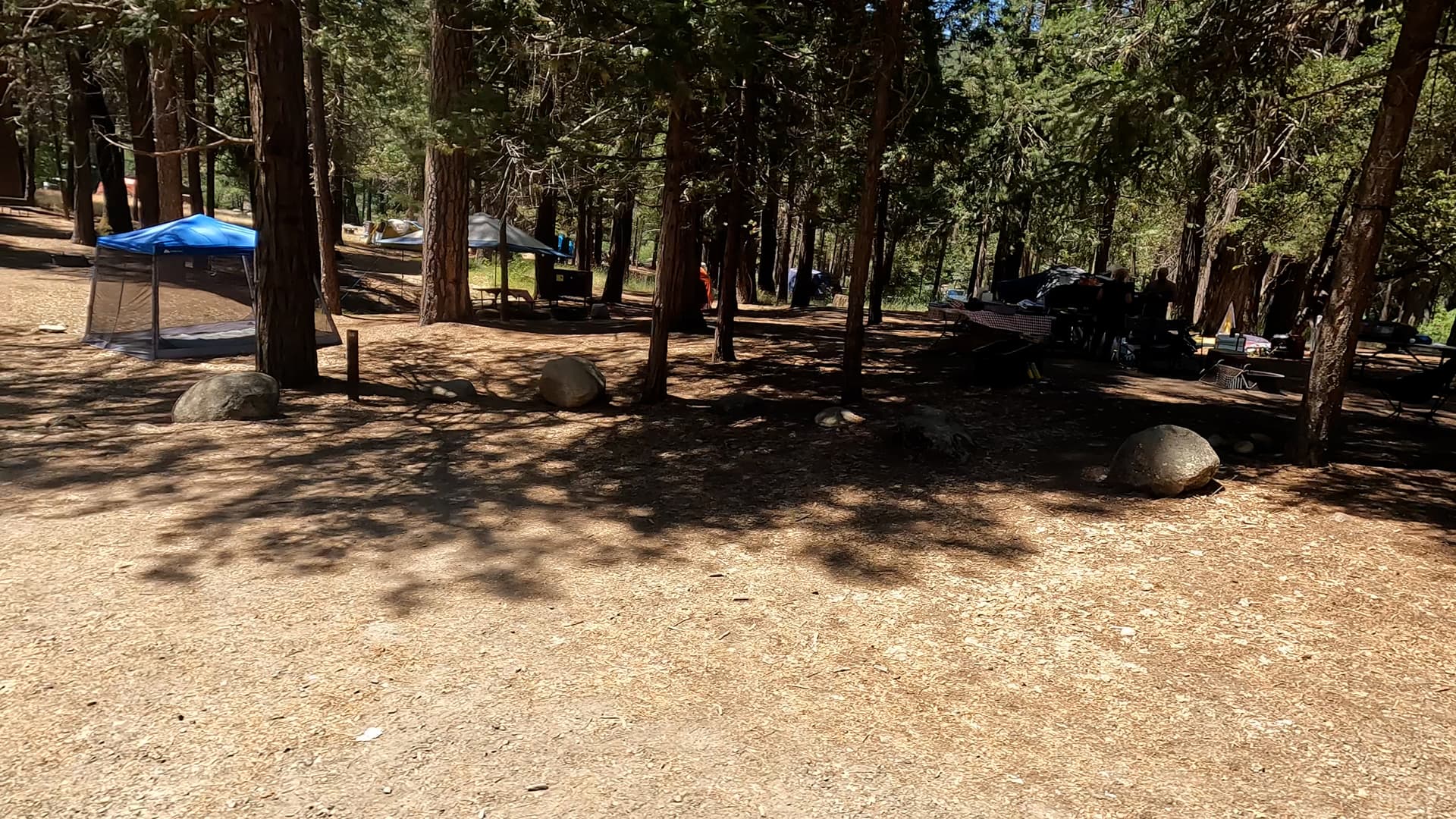 Site 86