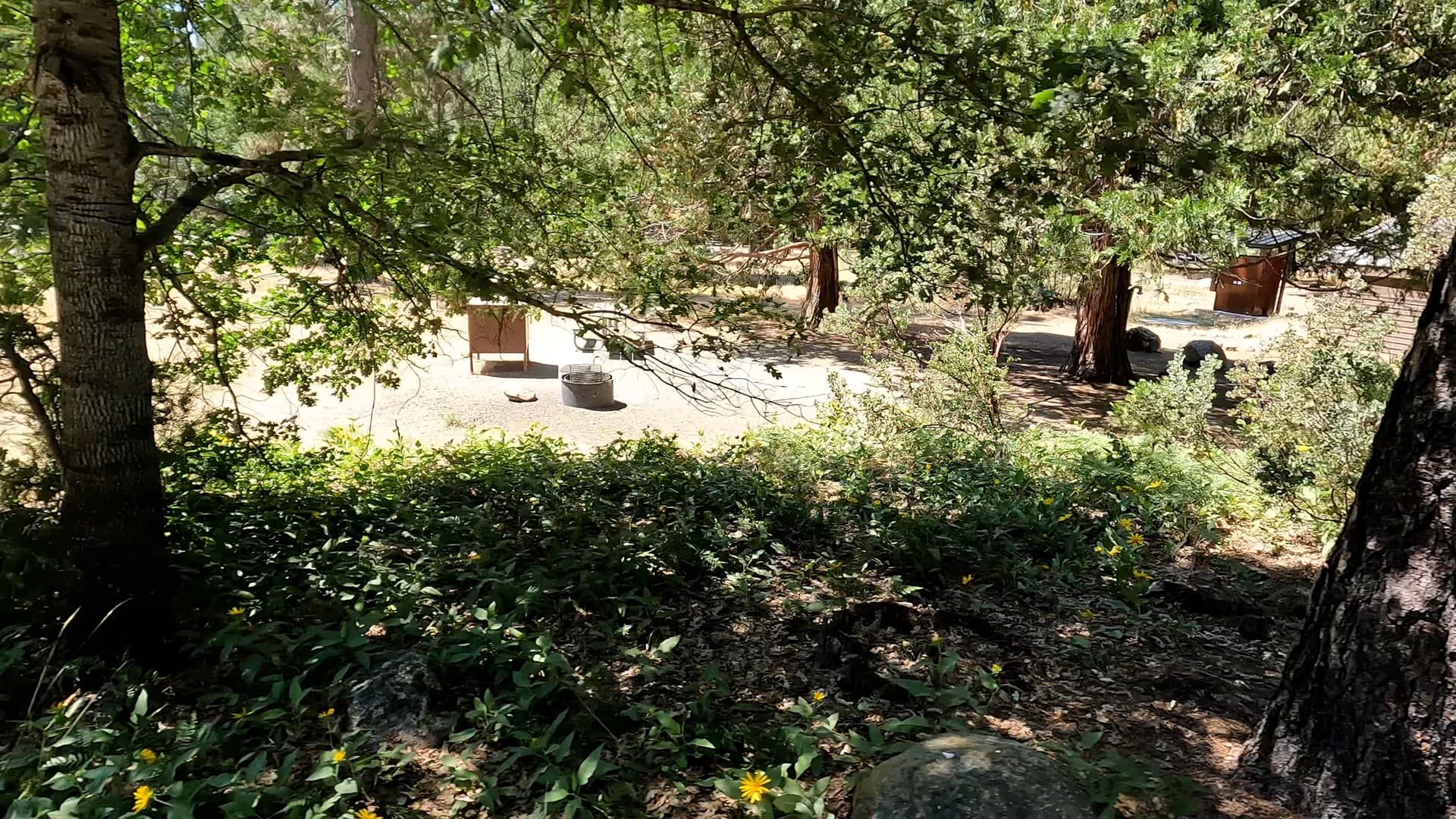 Site 89