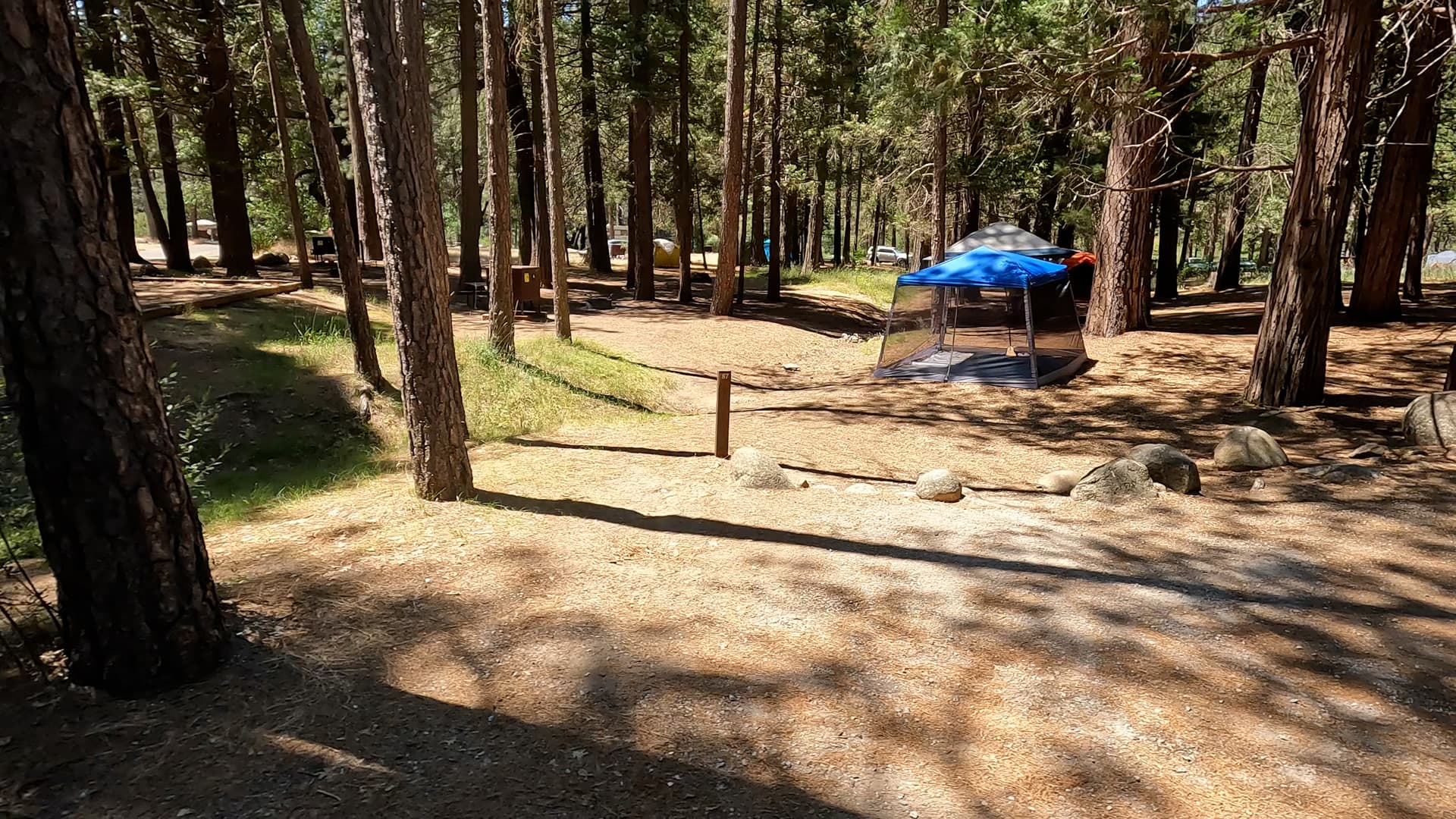 Site 87
