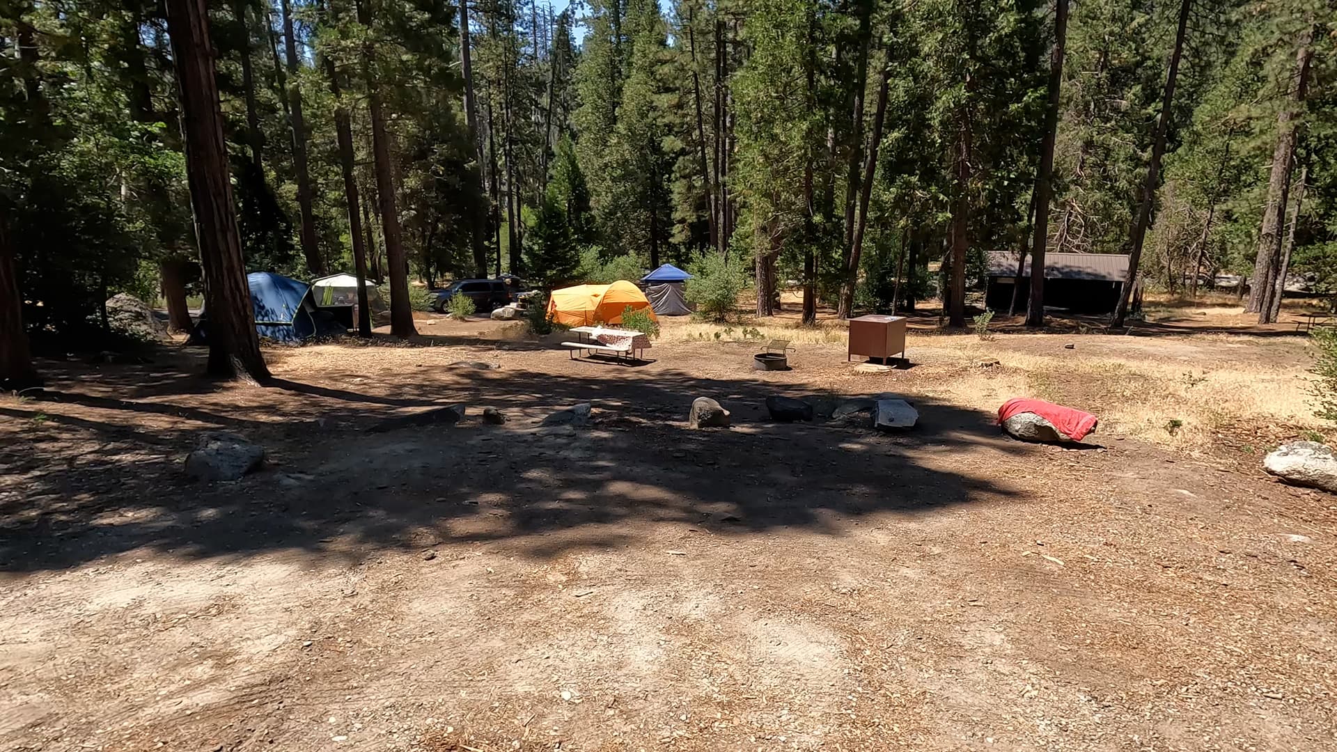 Site 99