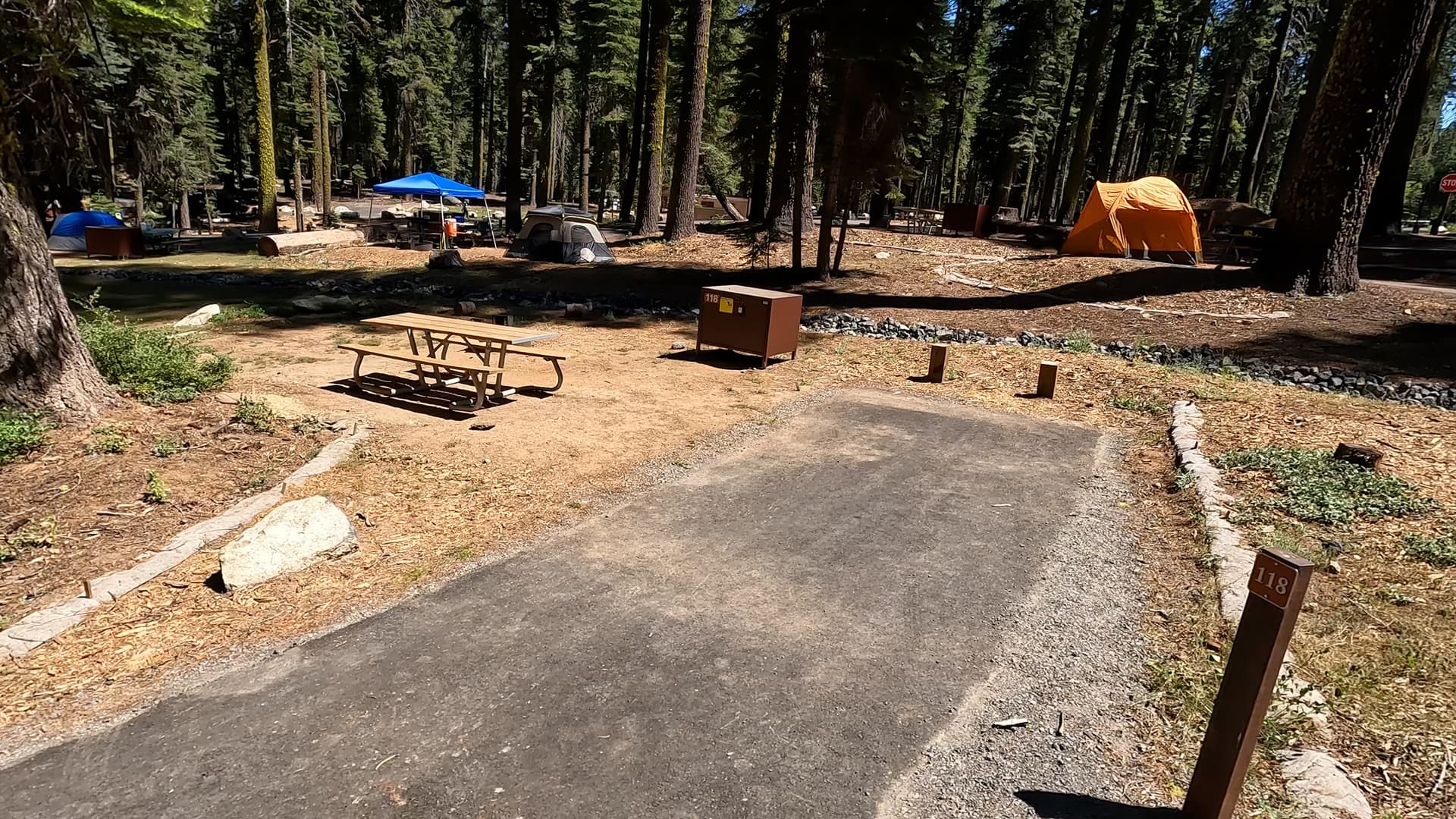 Site 118