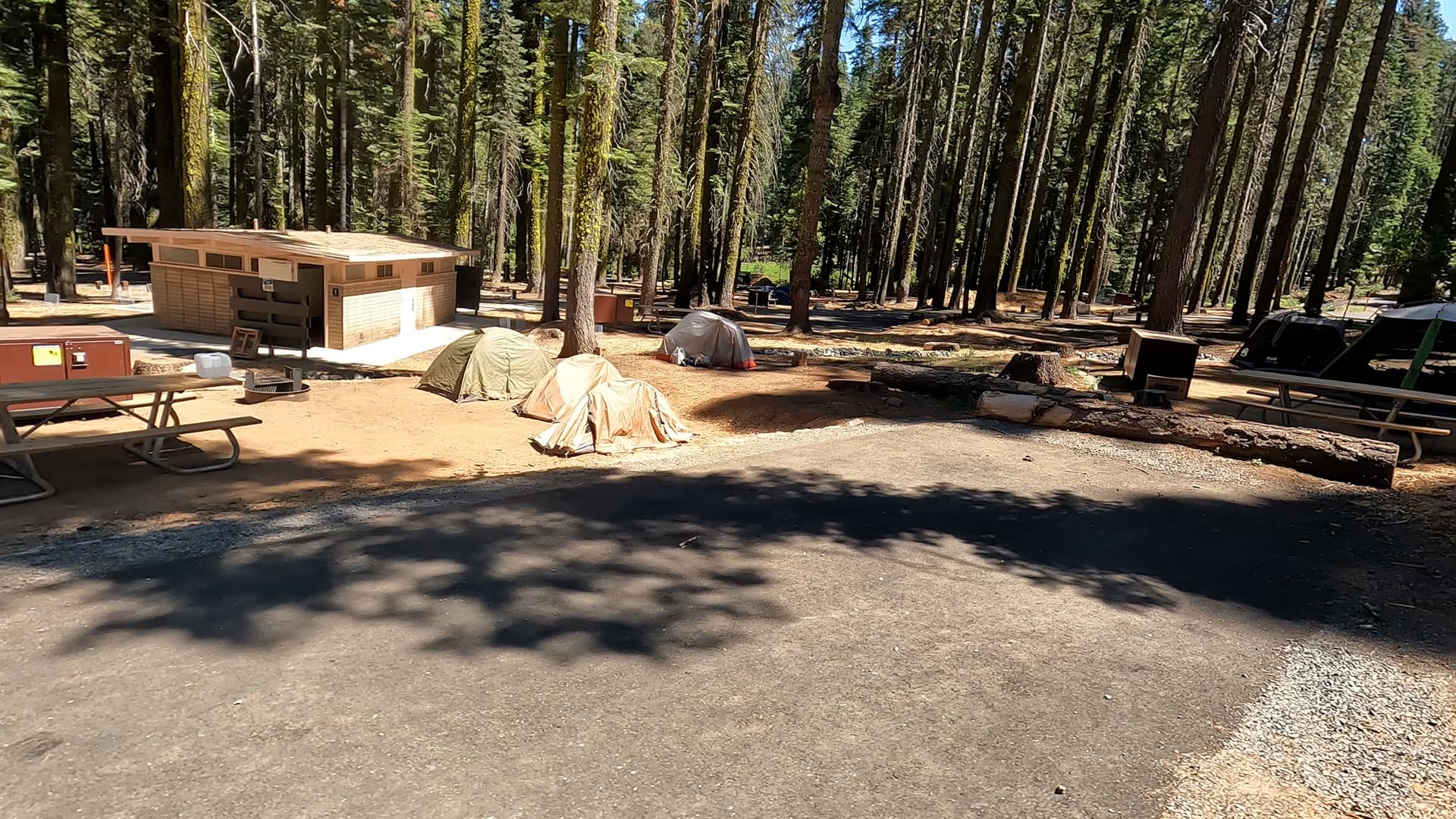Site 201