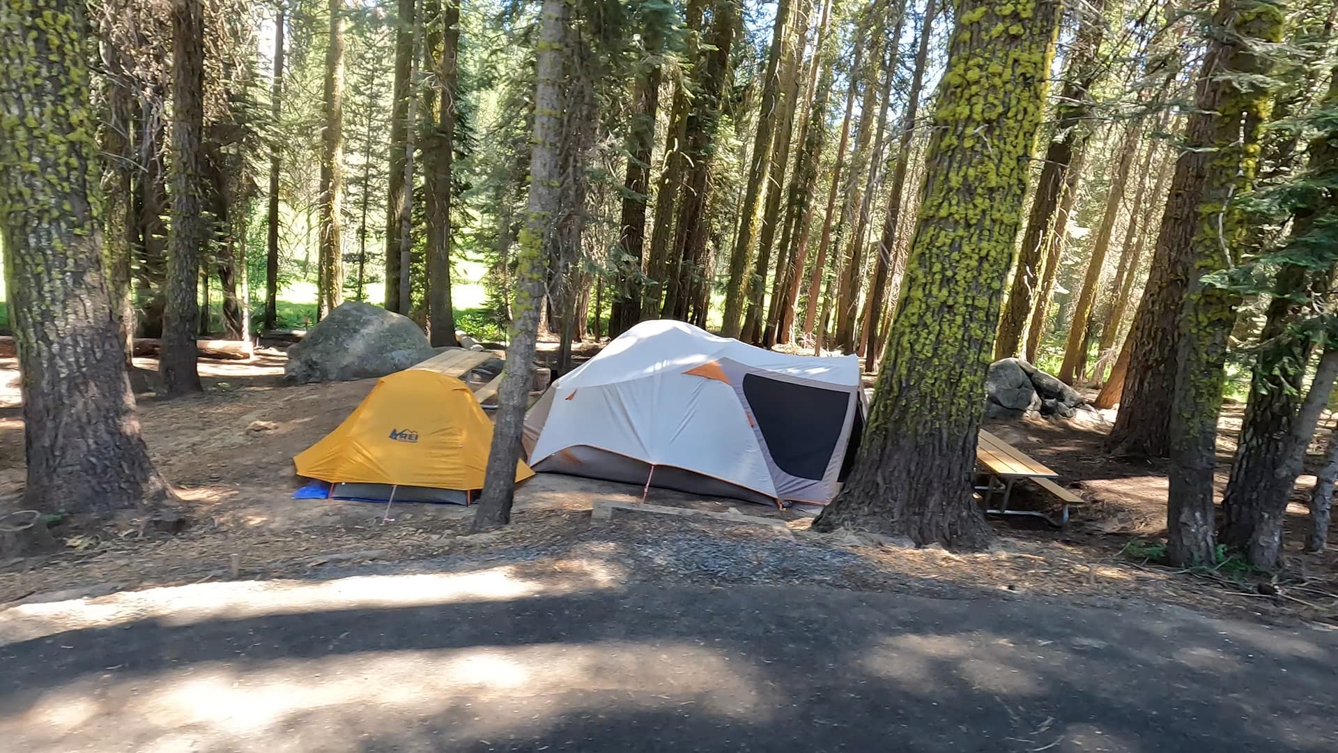 Site 209