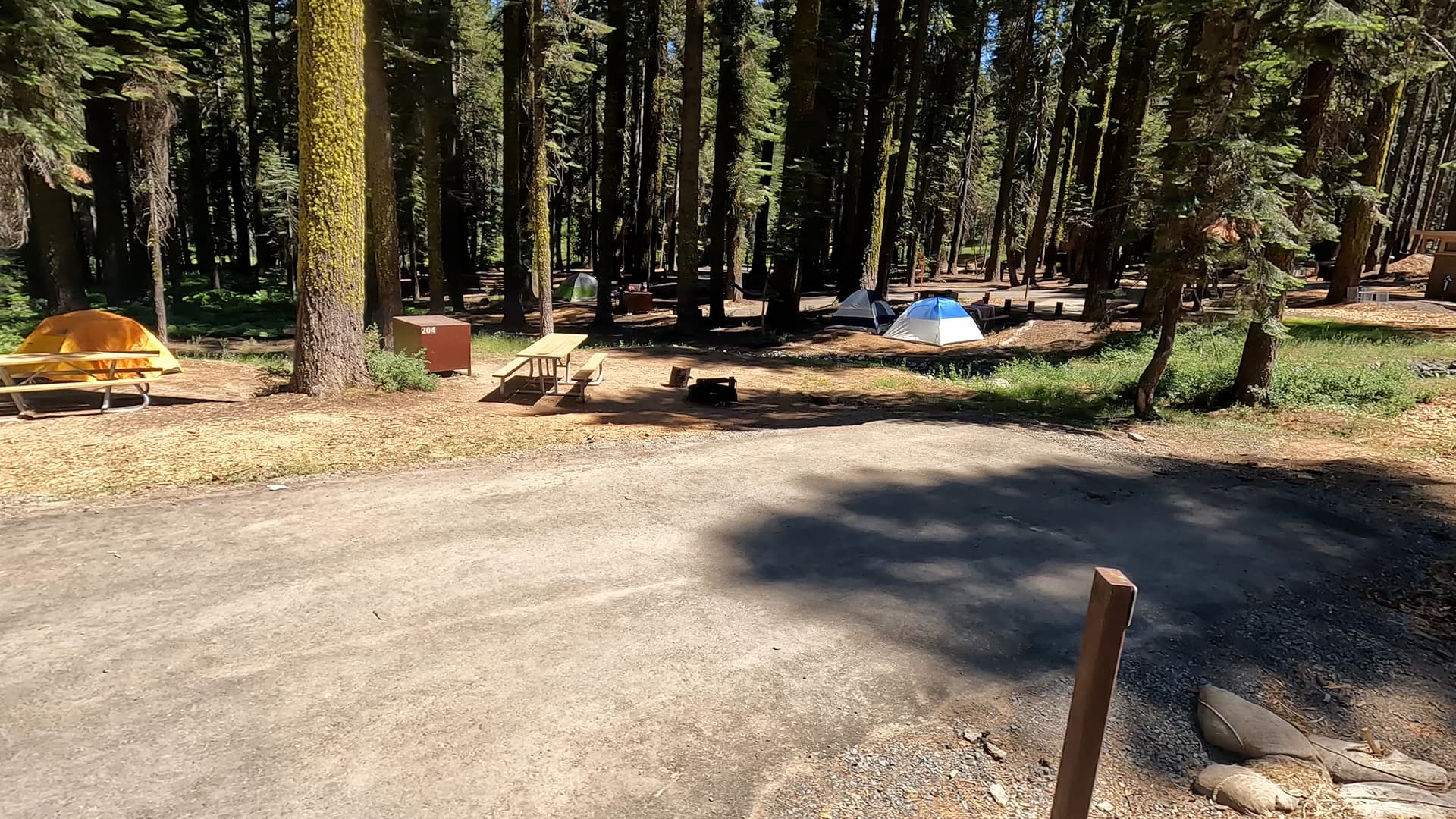 Site 204