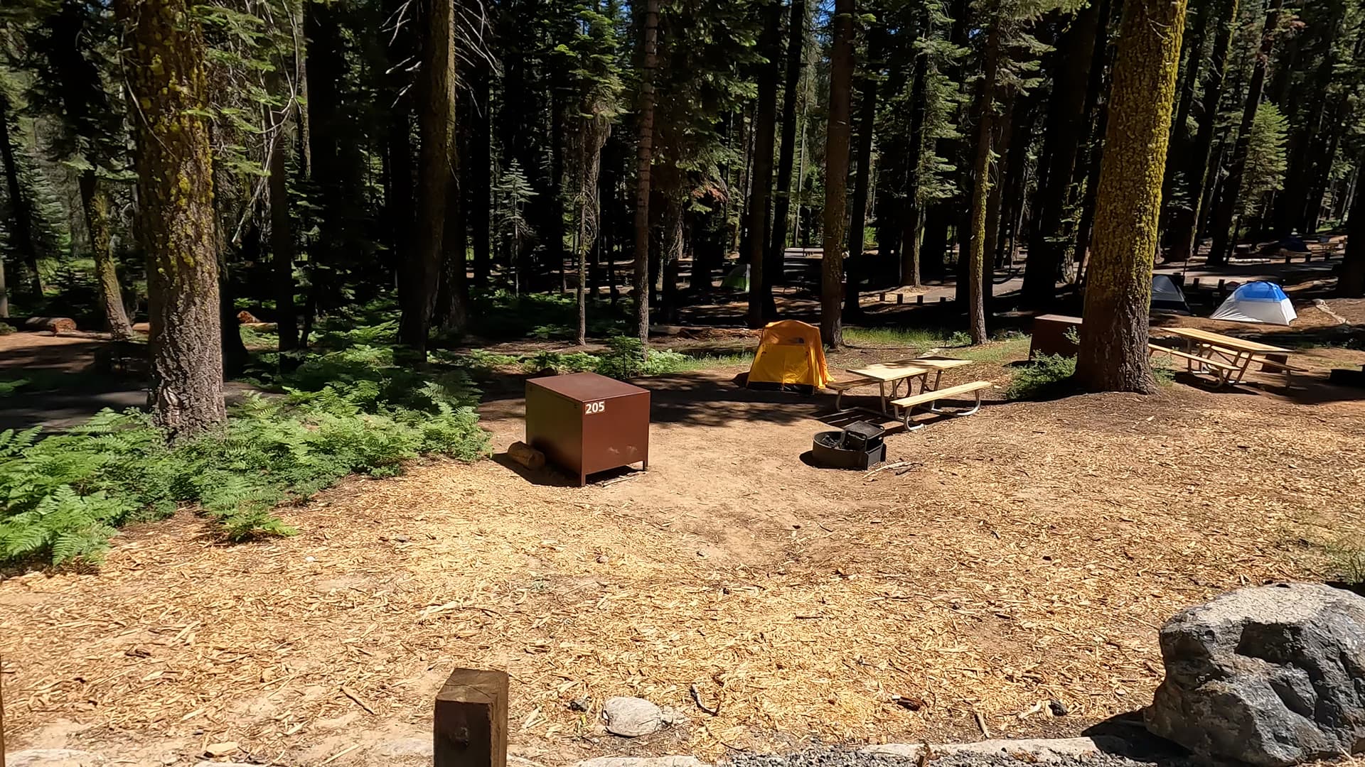 Site 205