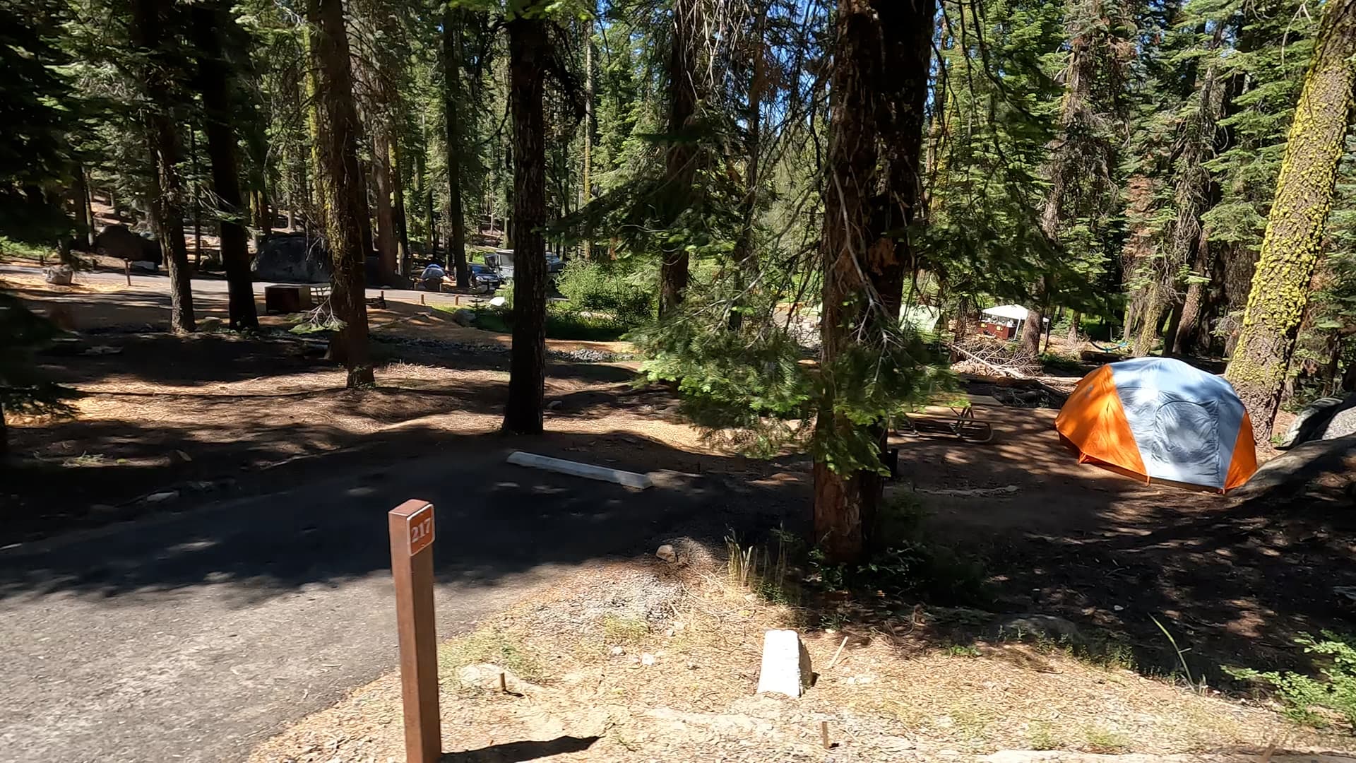 Site 217