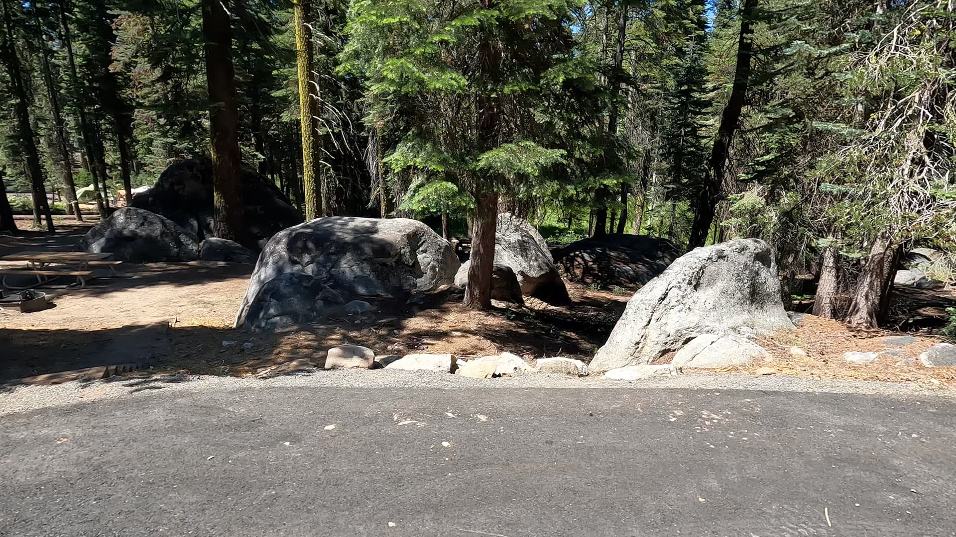 Site 215