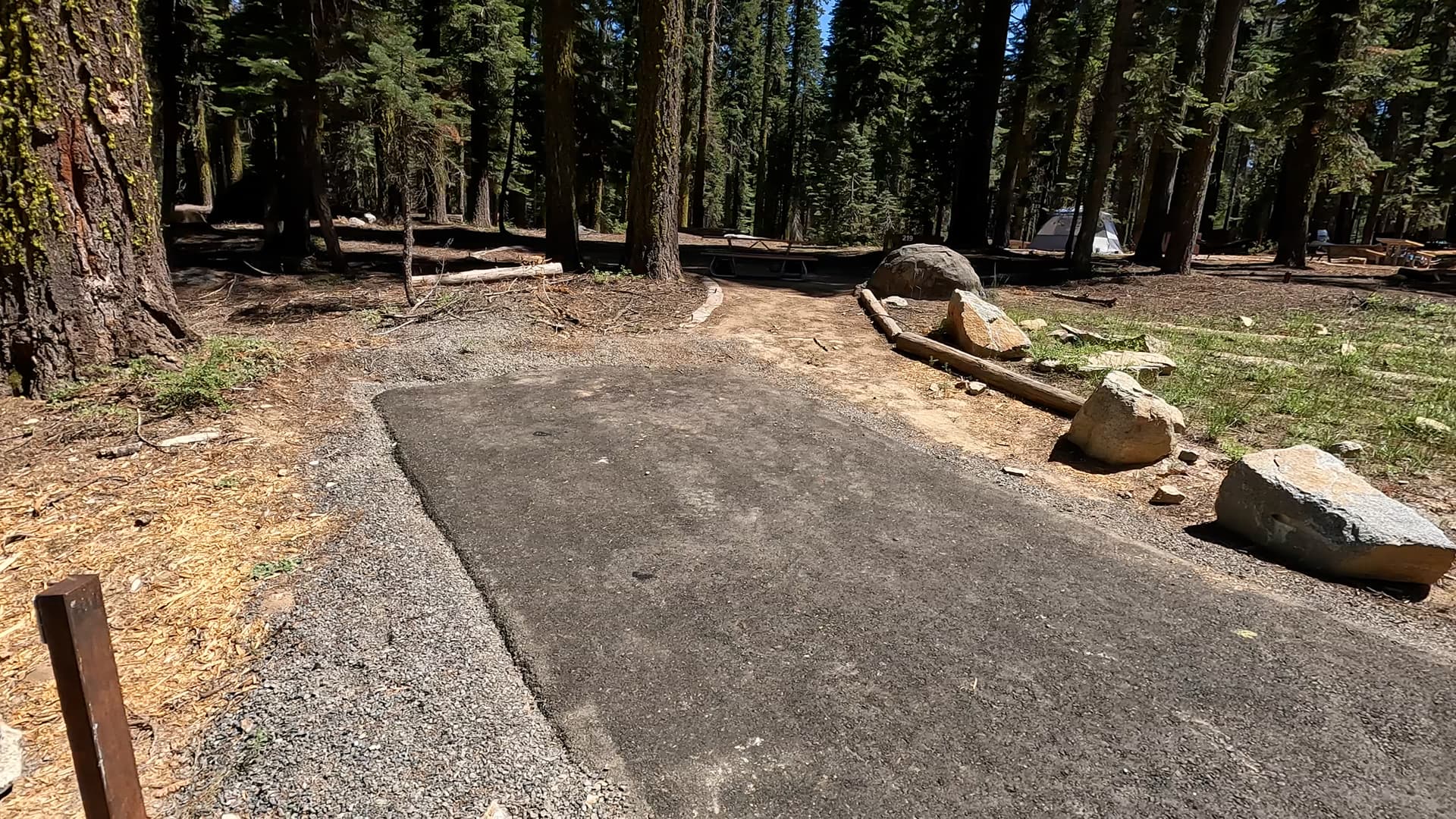Site 219