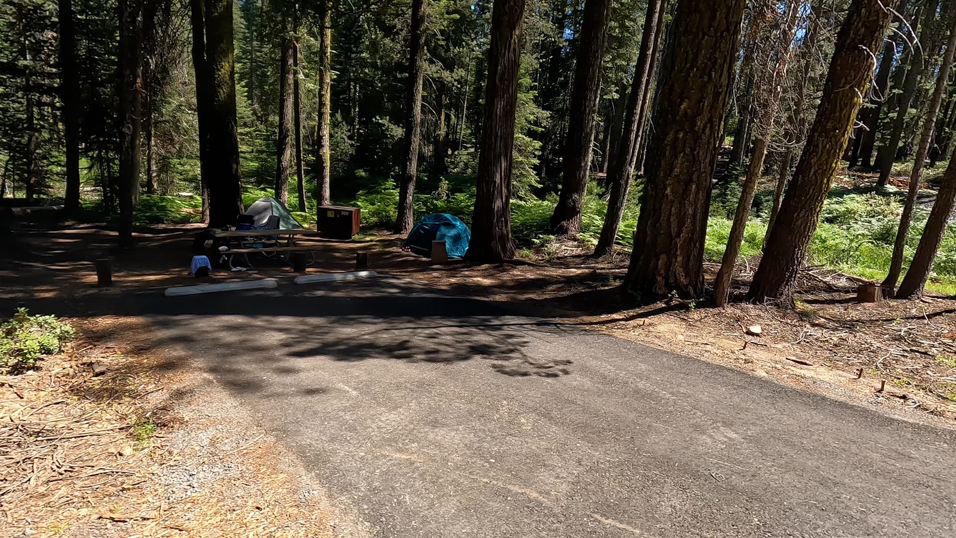 Site 300