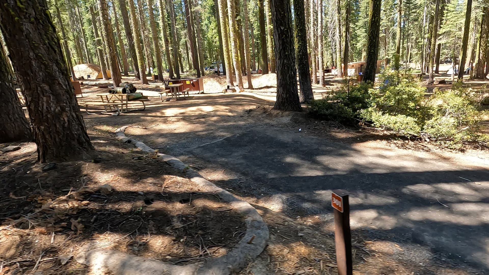 Site 301