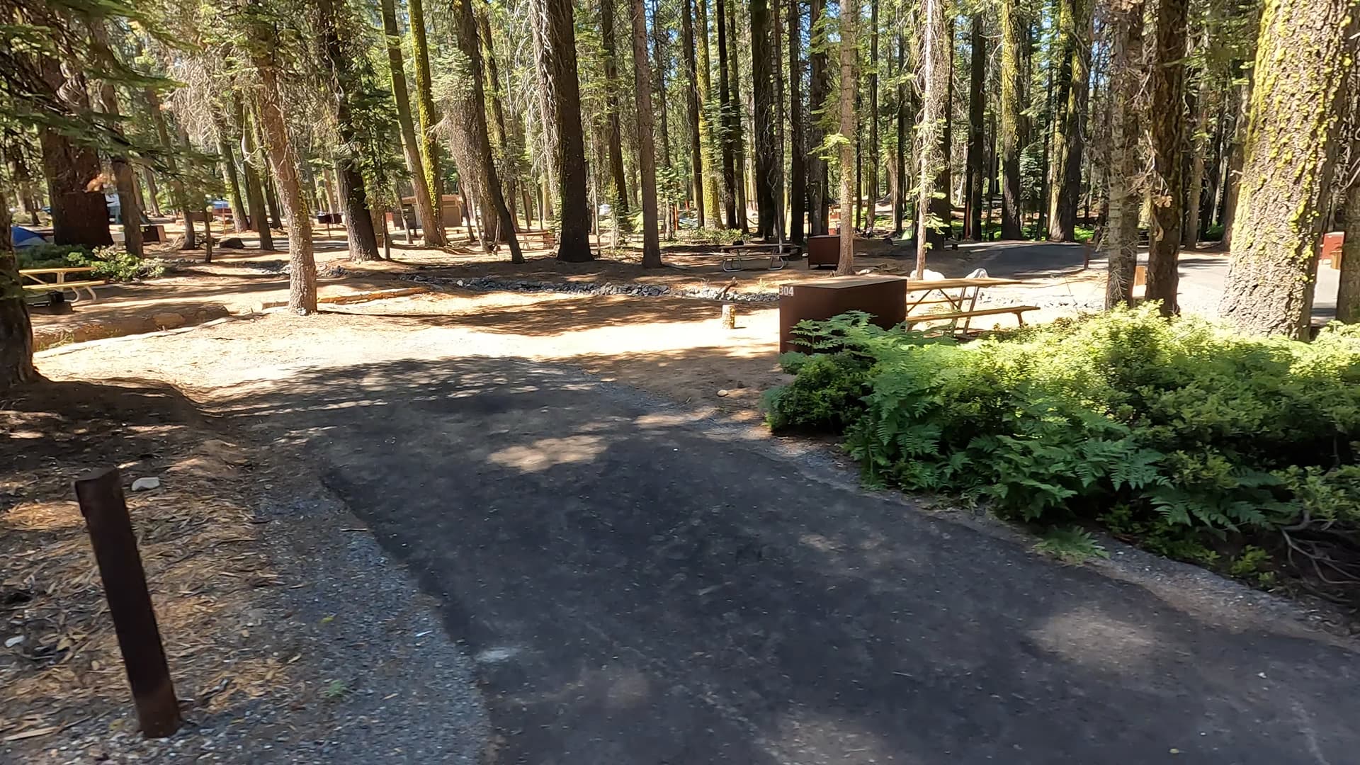 Site 304