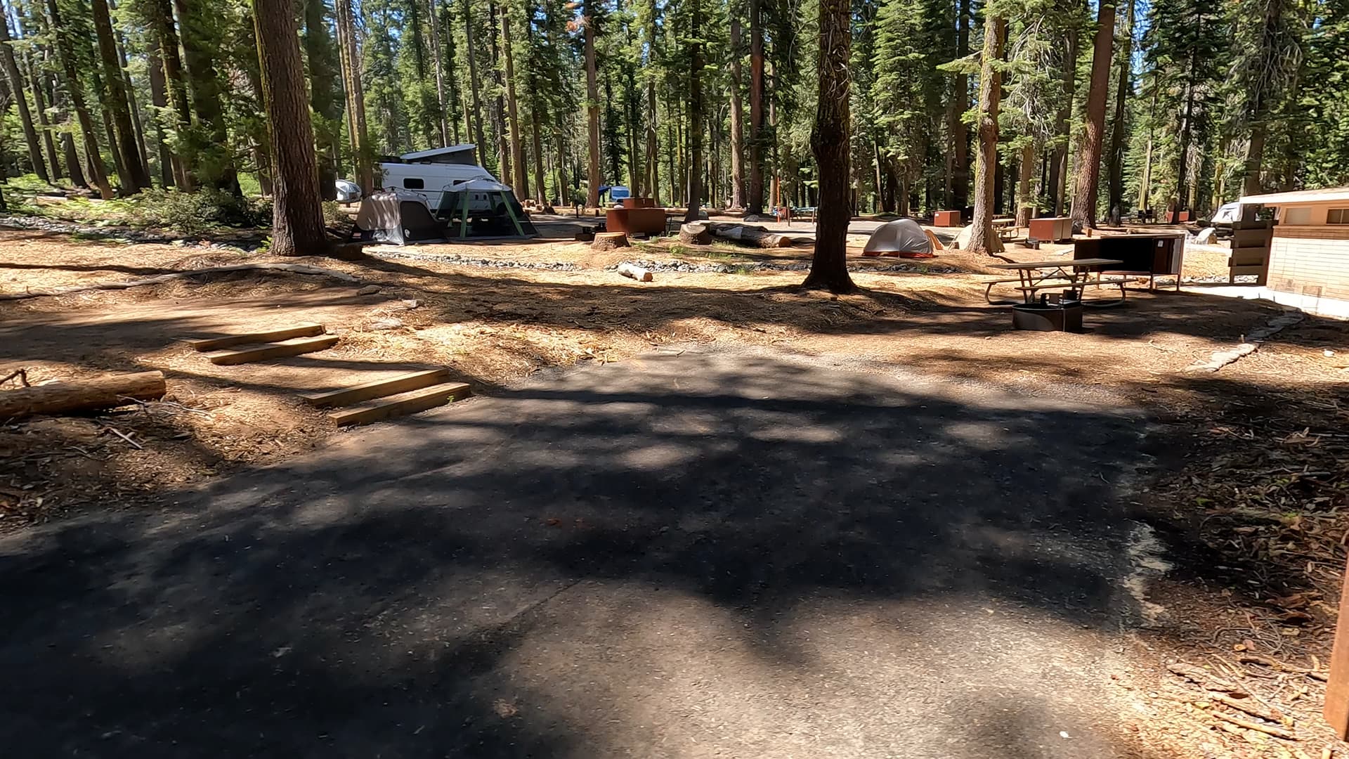 Site 312