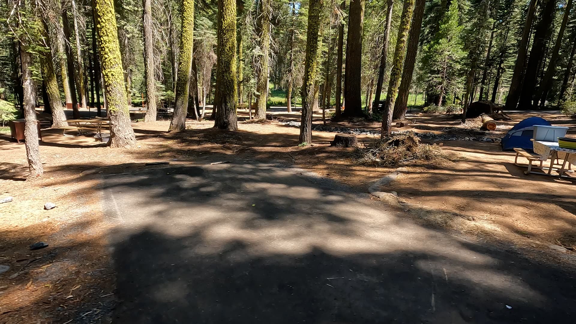 Site 311