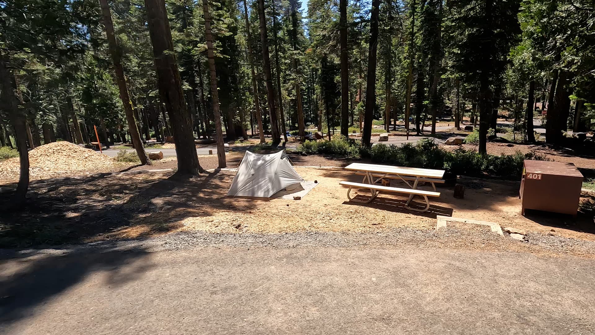 Site 401