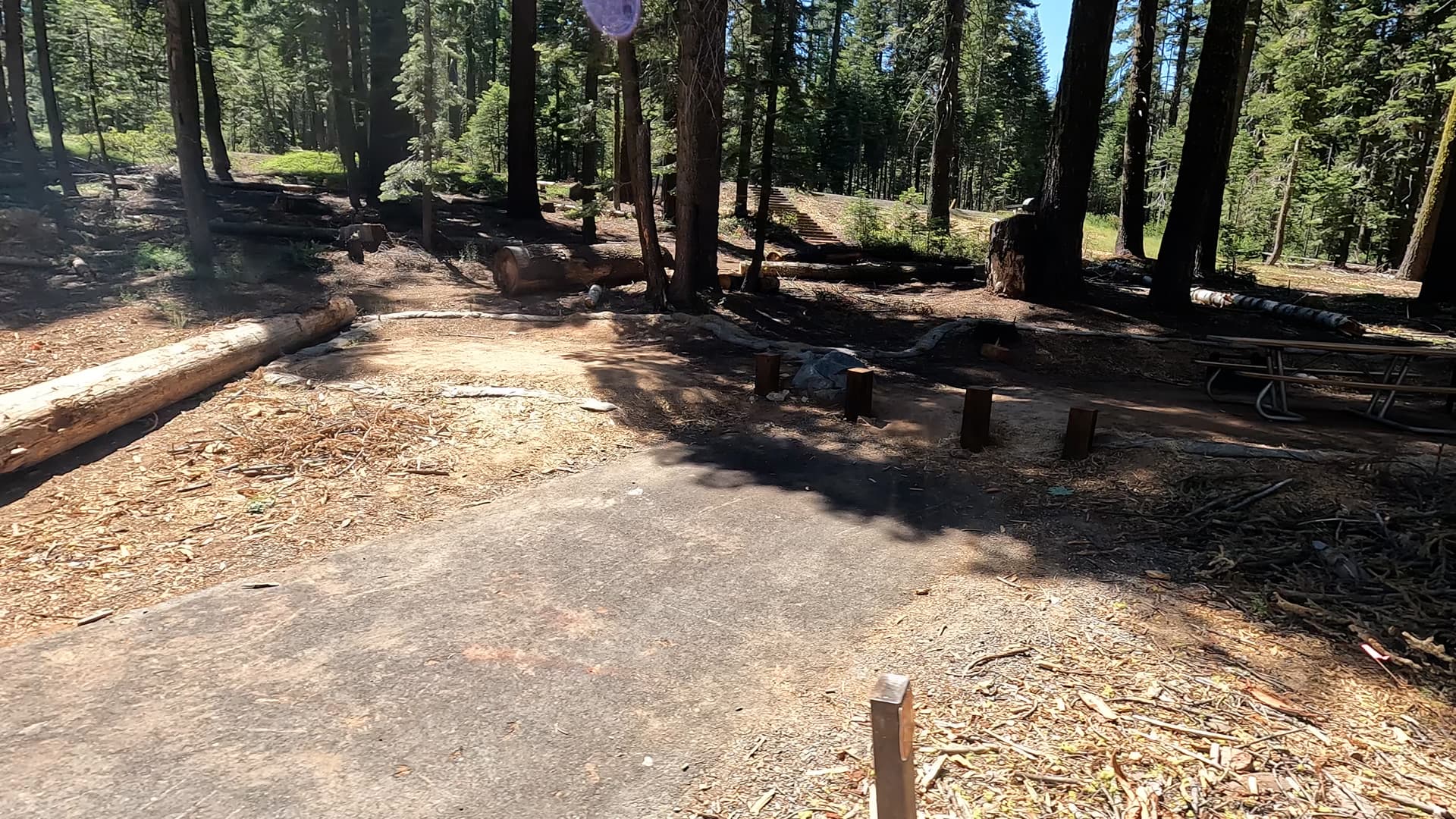 Site 316