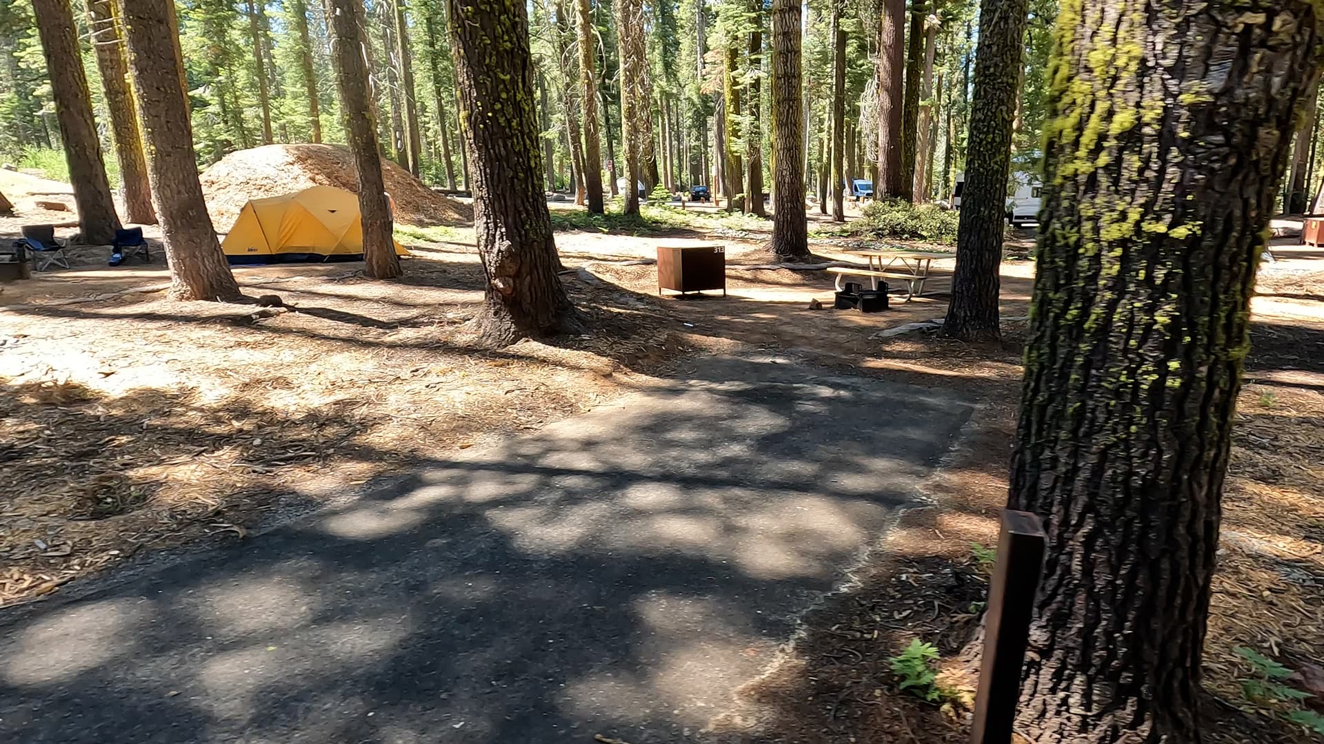 Site 313