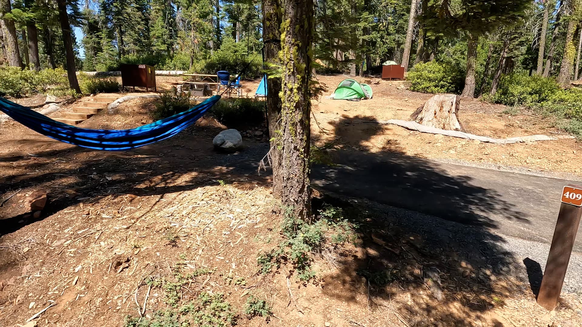 Site 409
