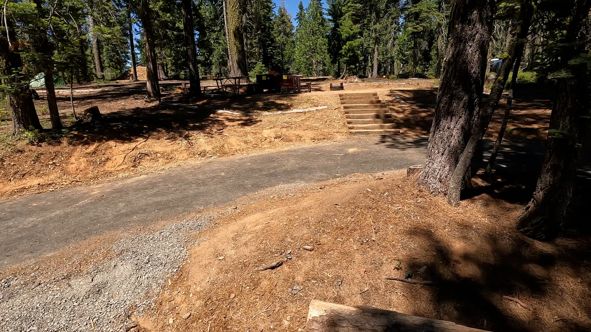 Site 411