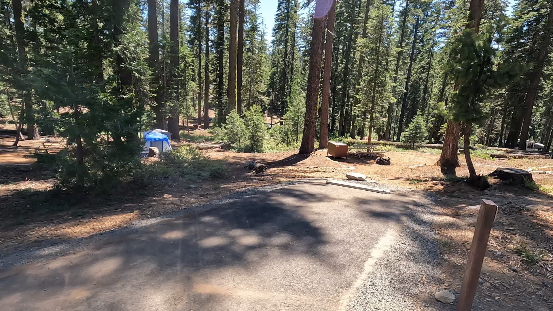 Site 415