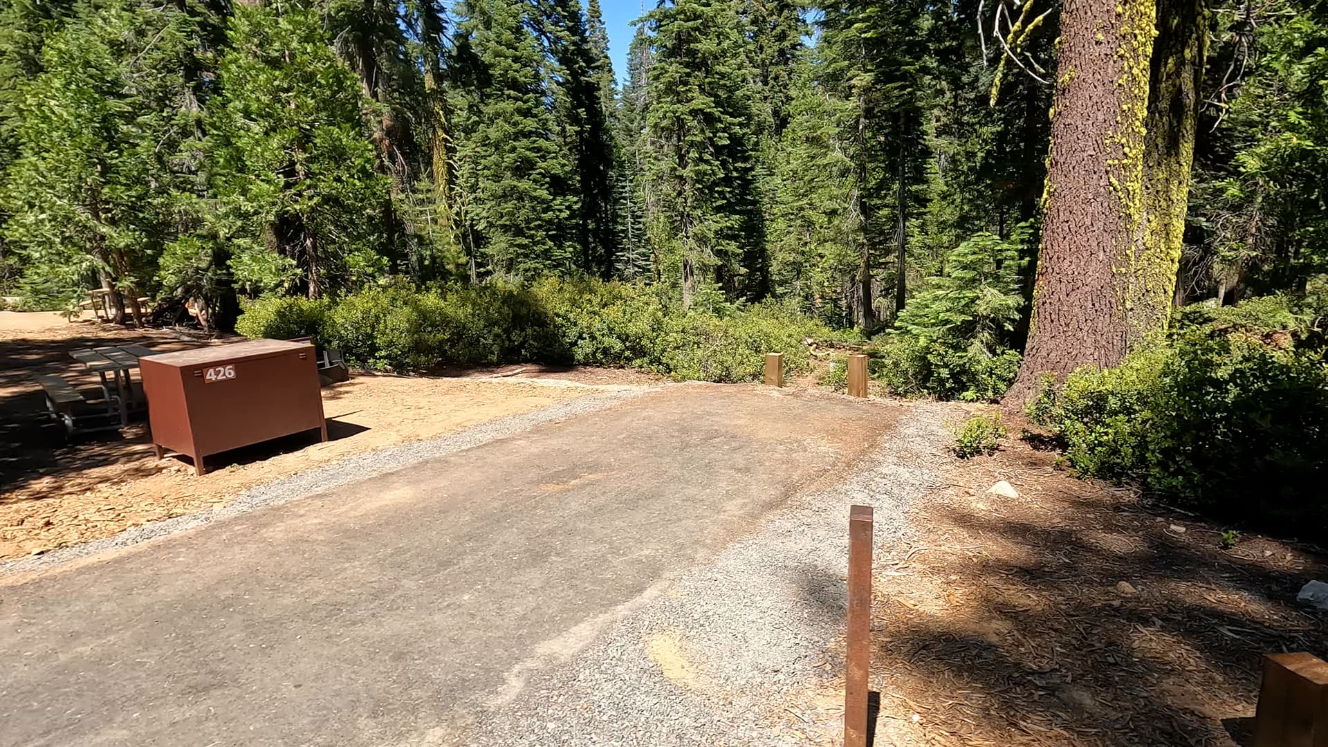 Site 426