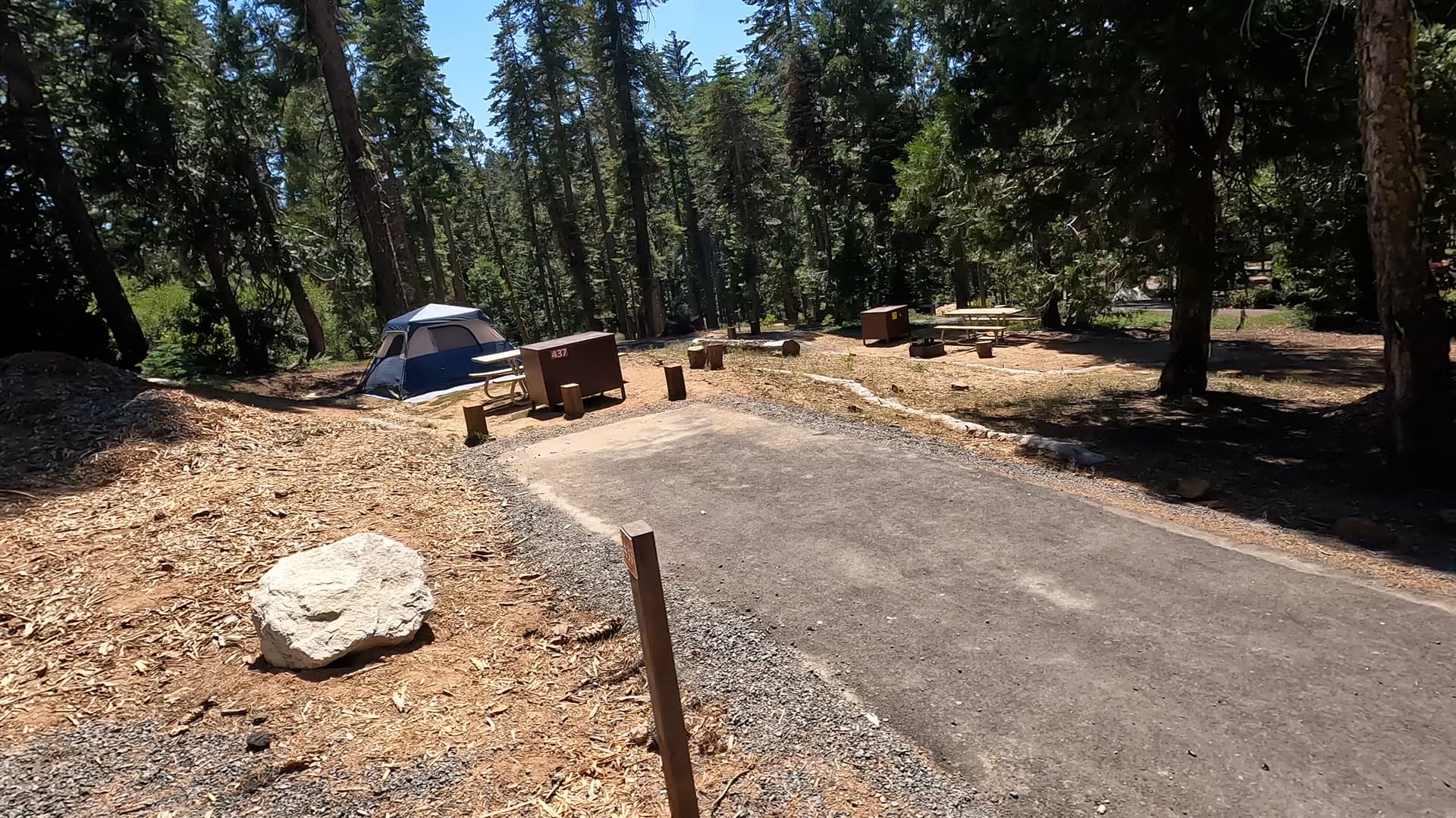 Site 437