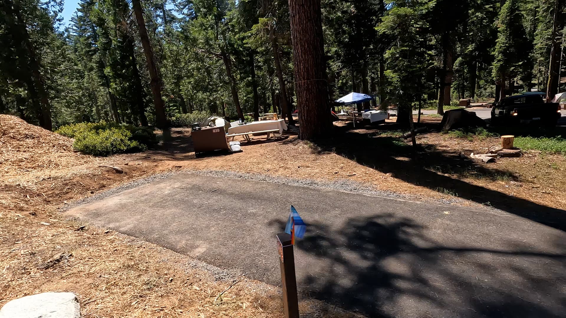 Site 439