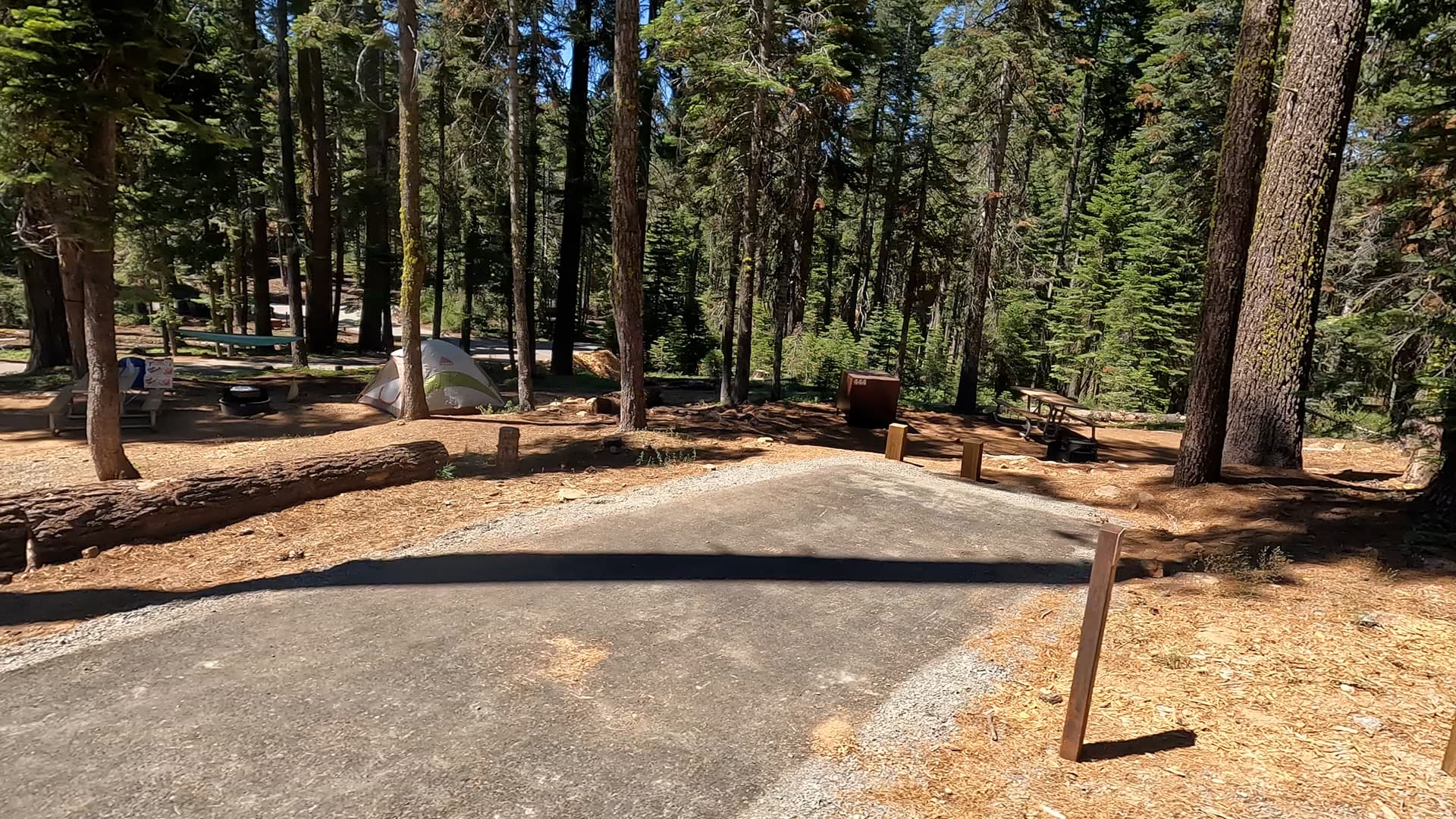 Site 444