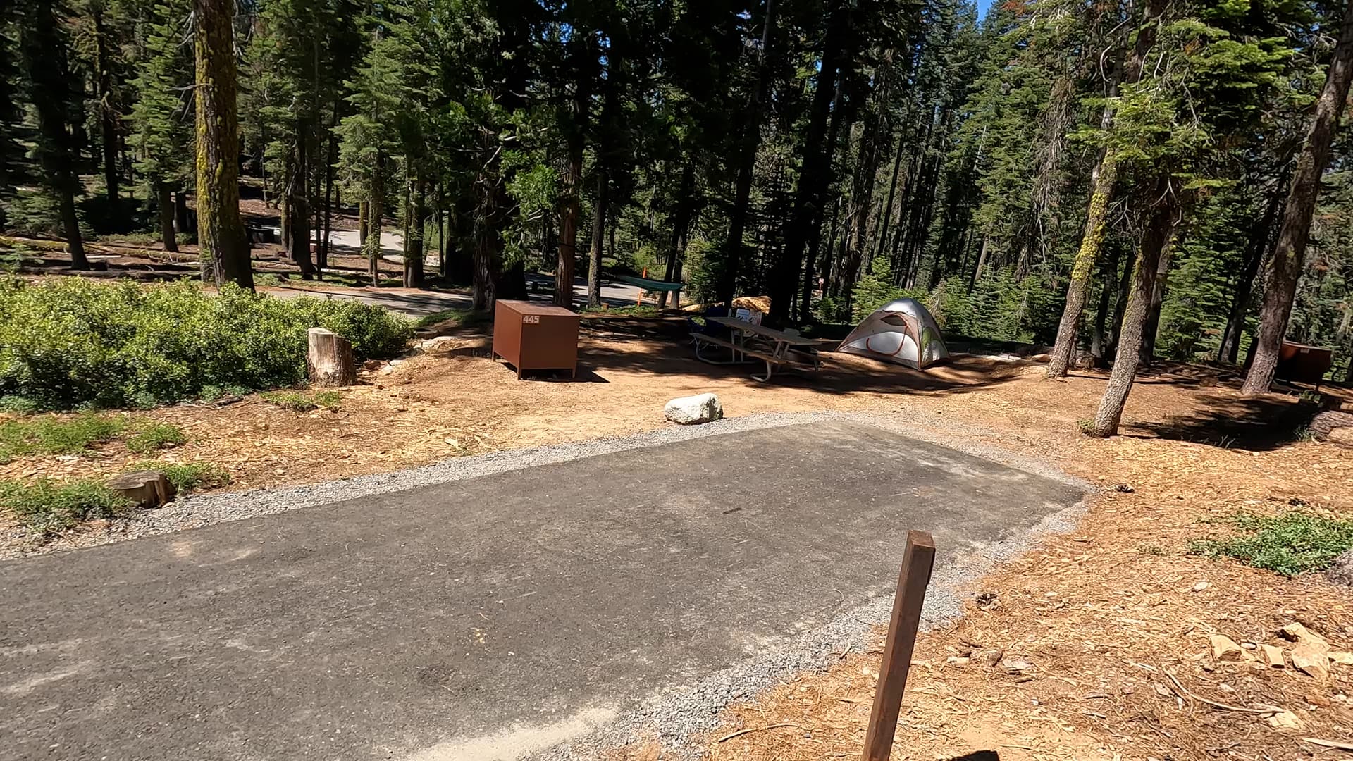 Site 445