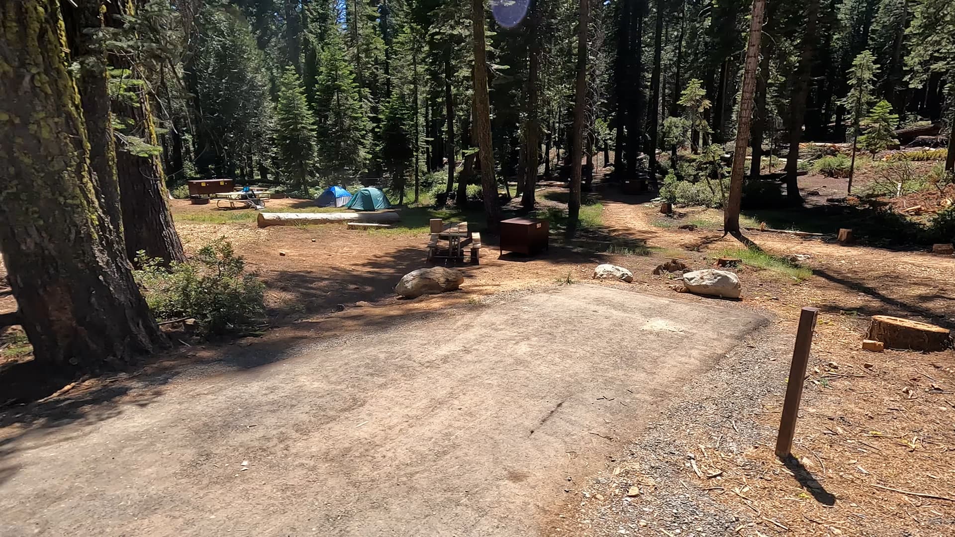 Site 501