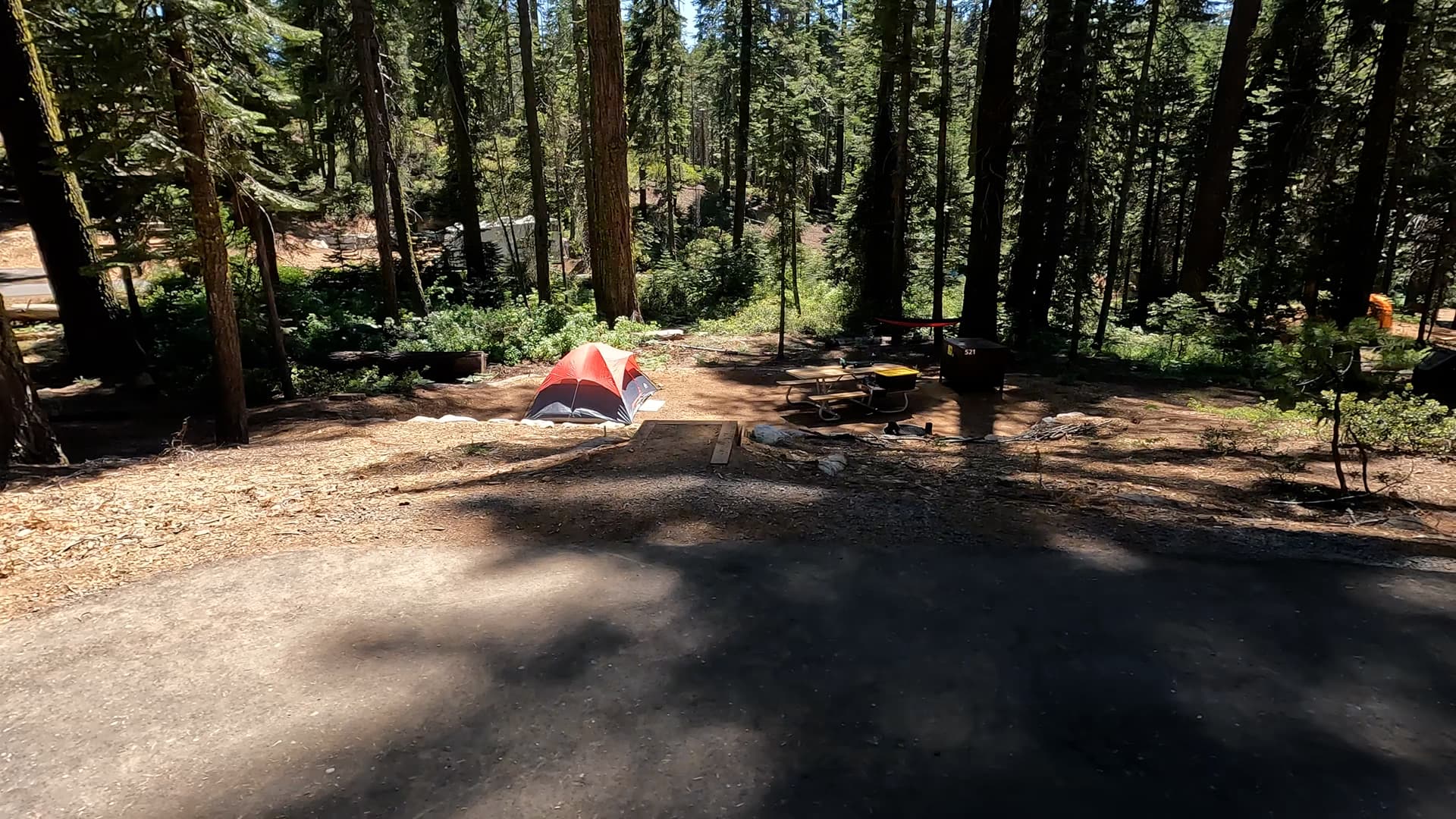 Site 521