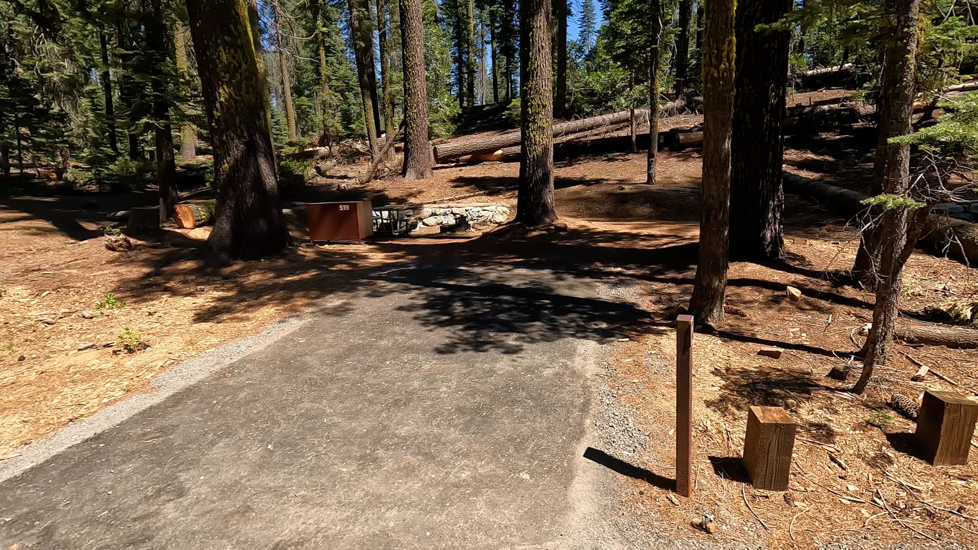 Site 519