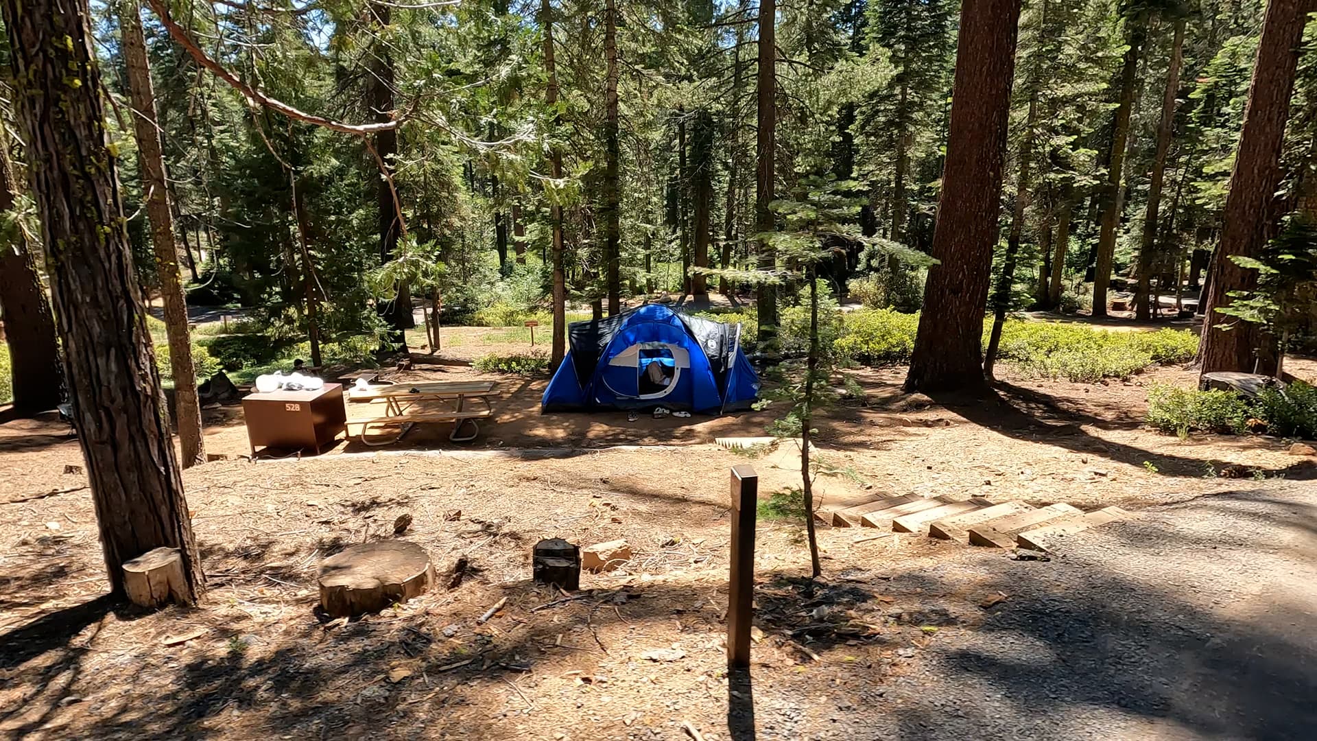 Site 528