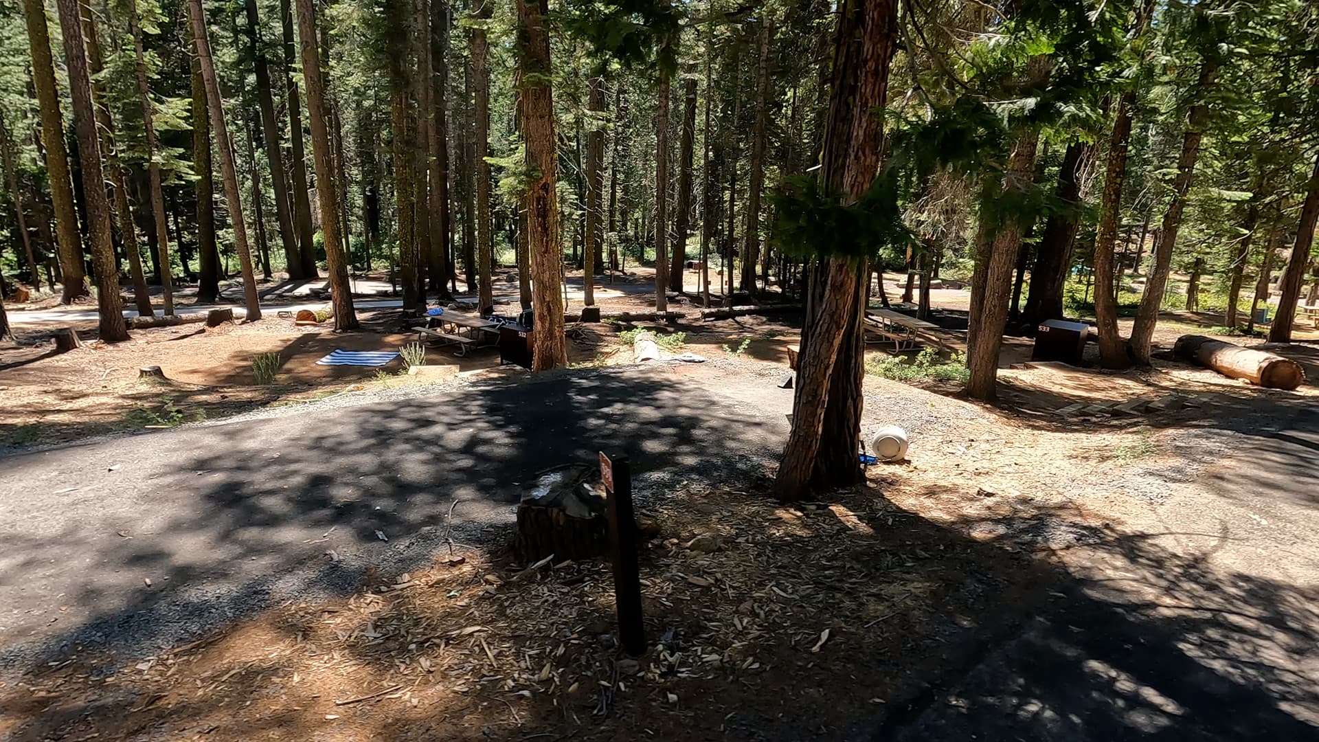 Site 533