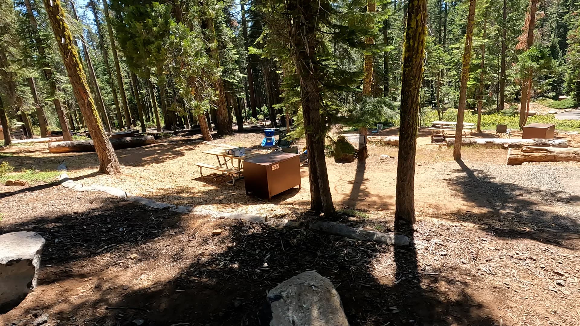 Site 534