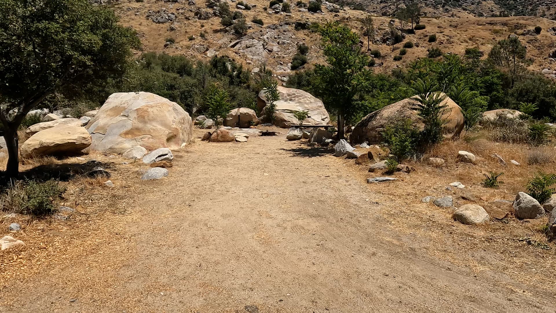 Site 4