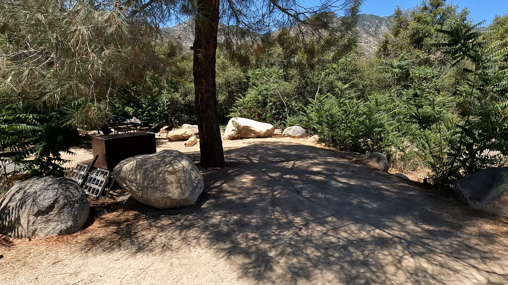 Site 39
