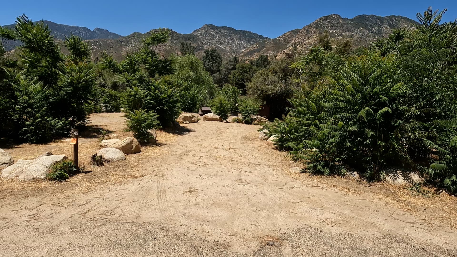 Site 45