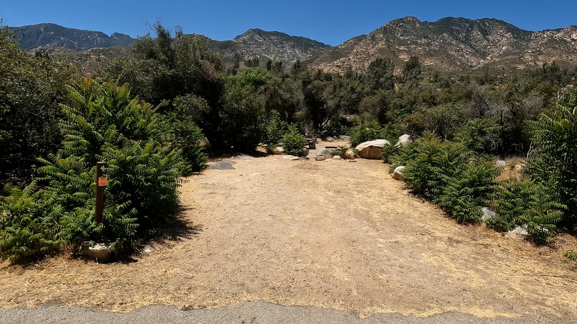 Site 41