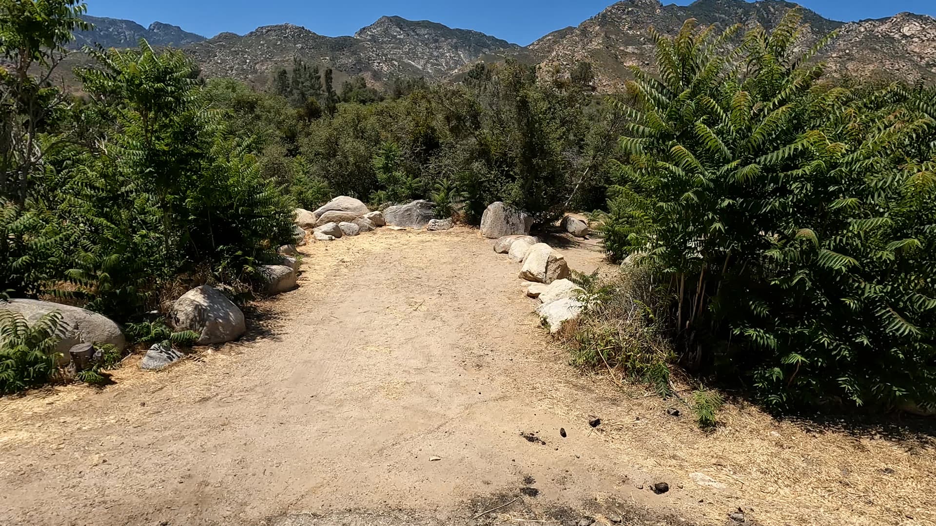 Site 40