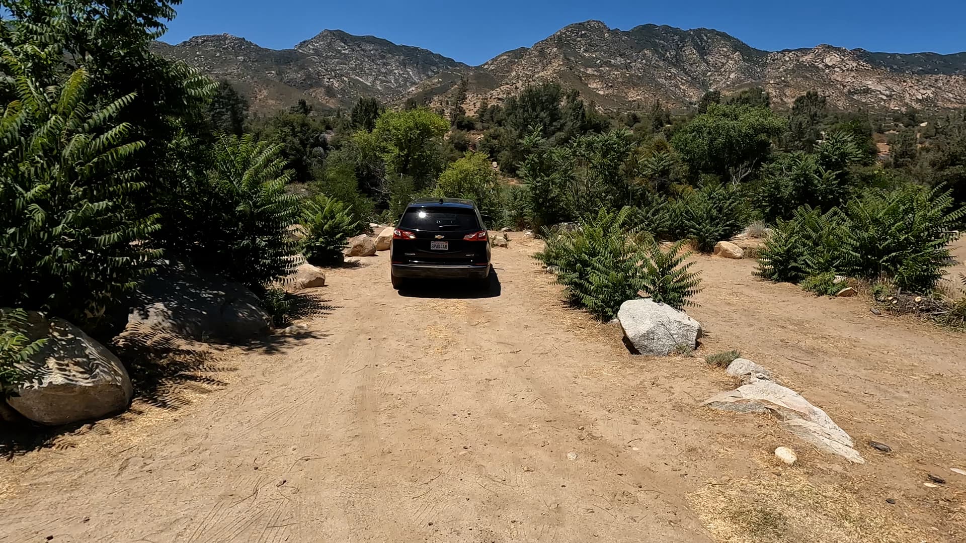 Site 44