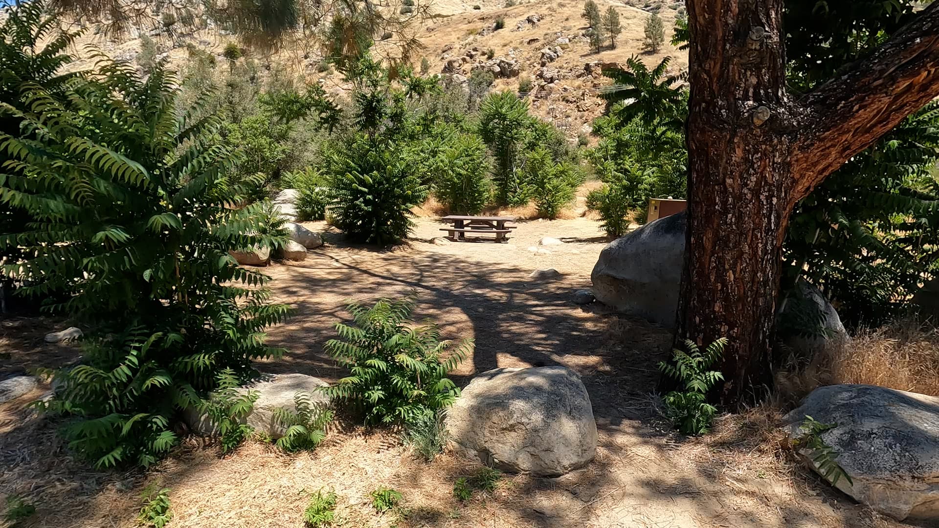 Site 50