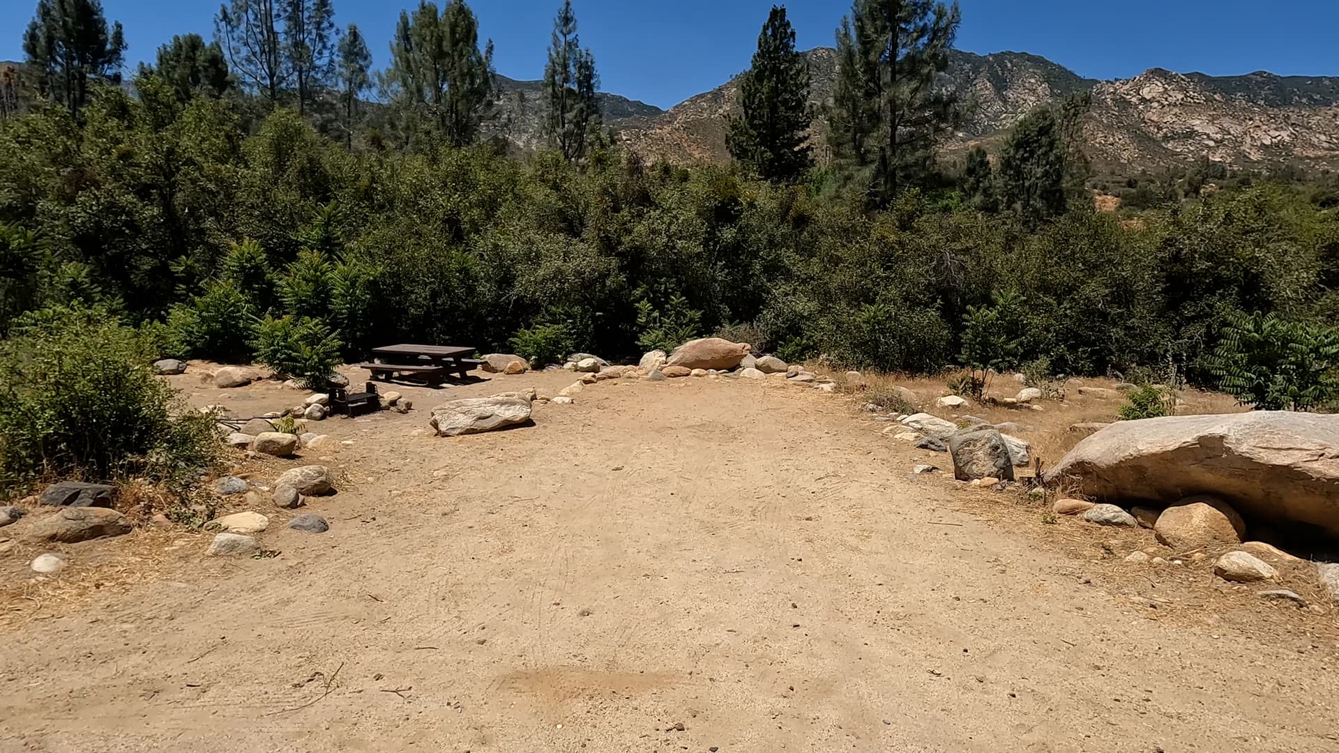 Site 29