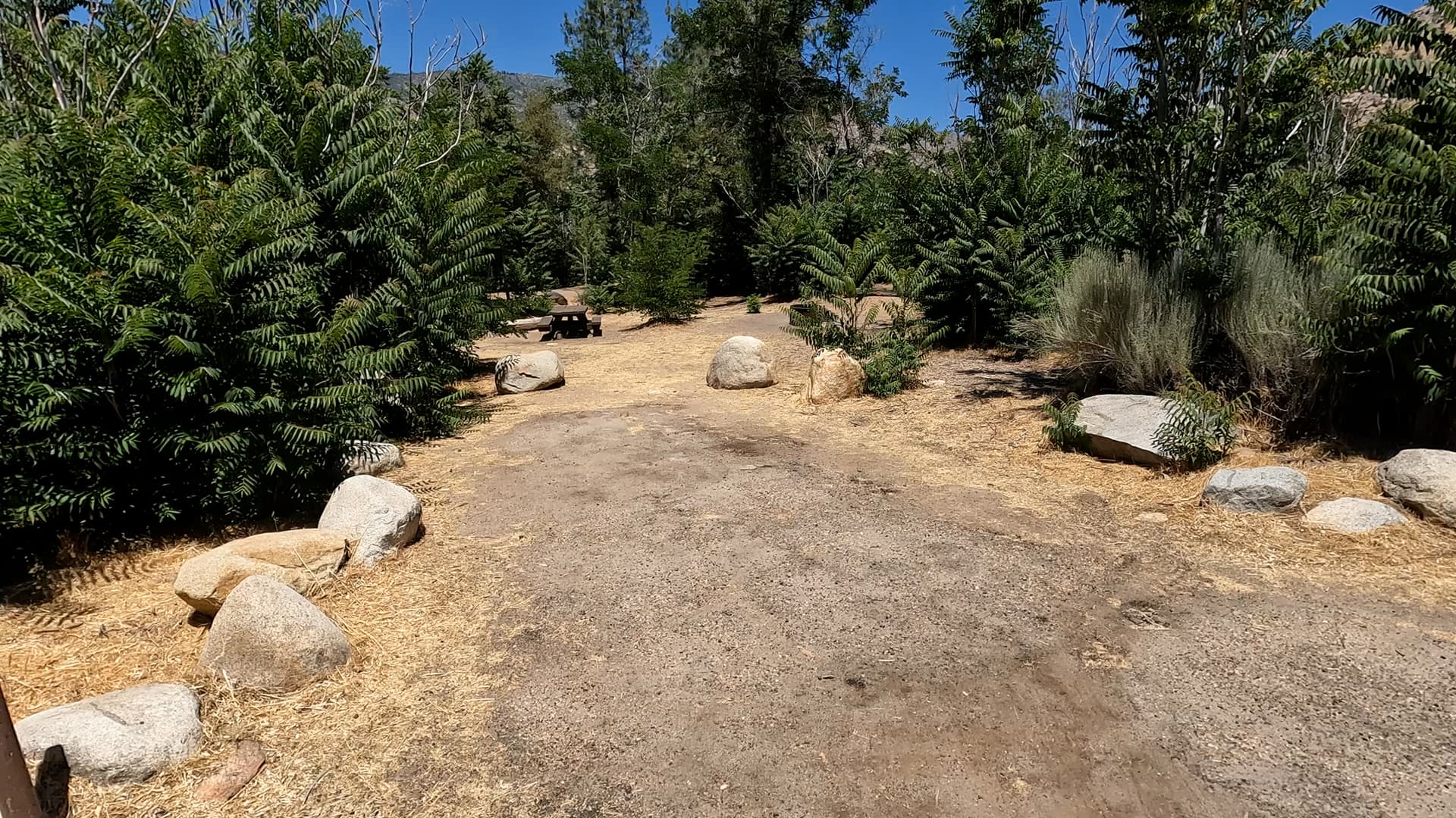 Site 48