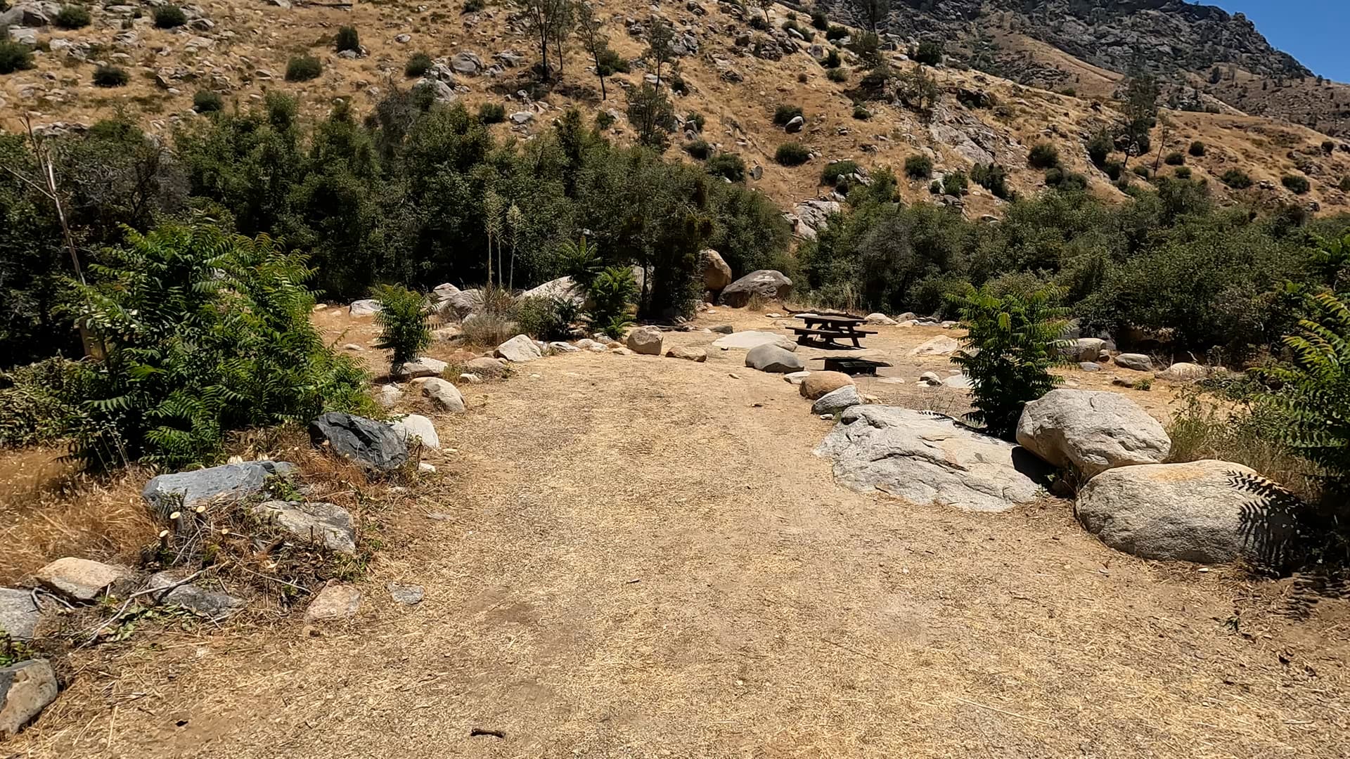Site 9