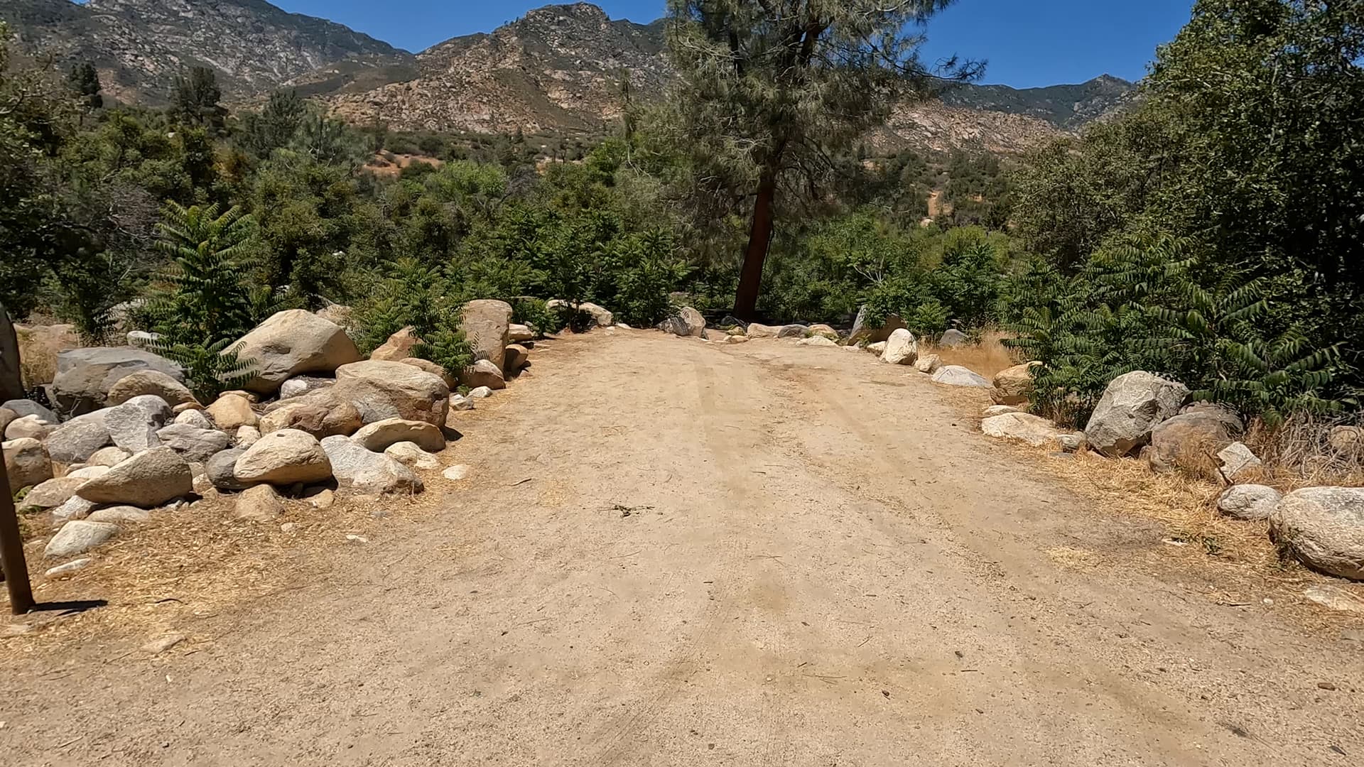 Site 37