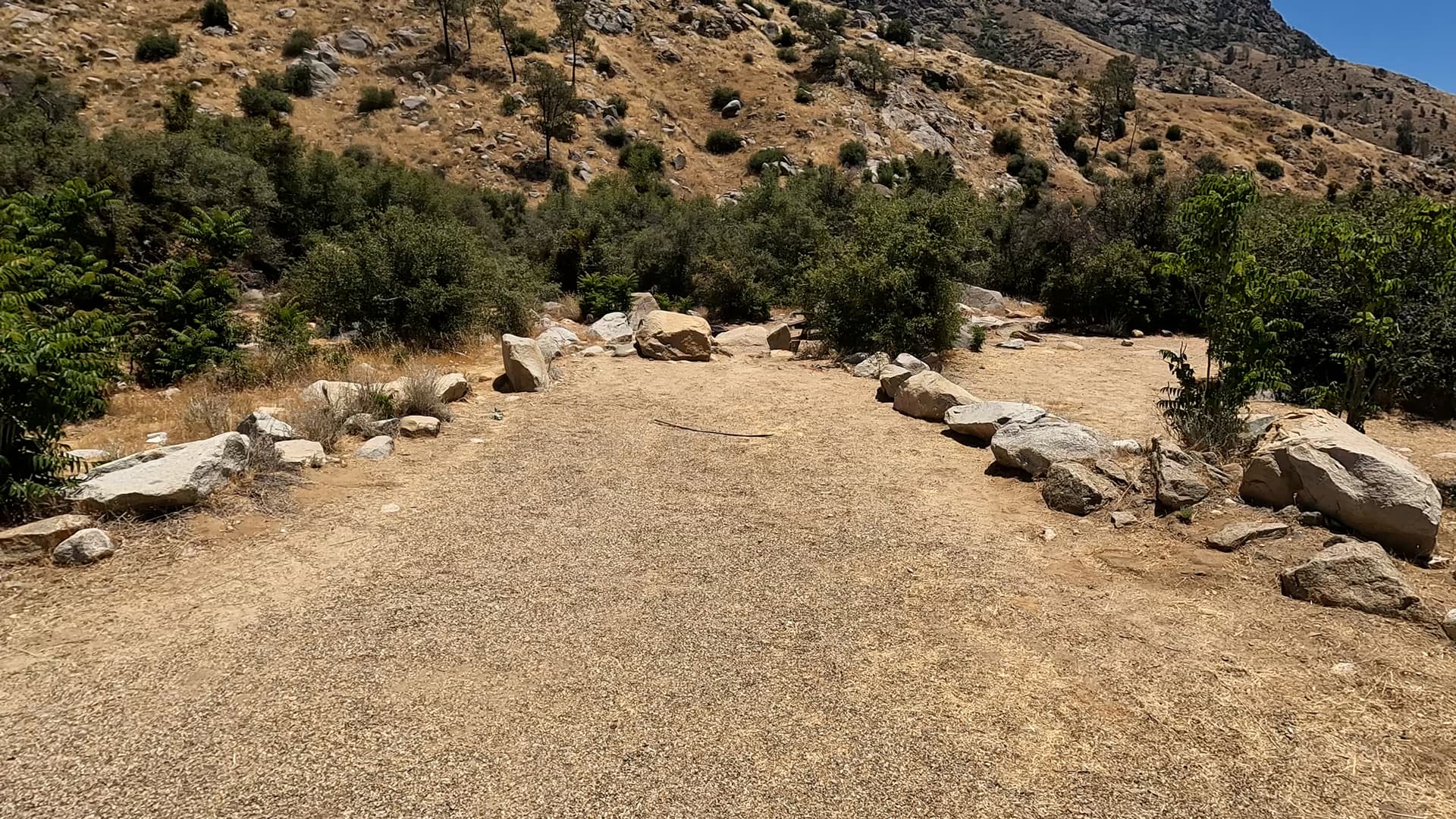 Site 7
