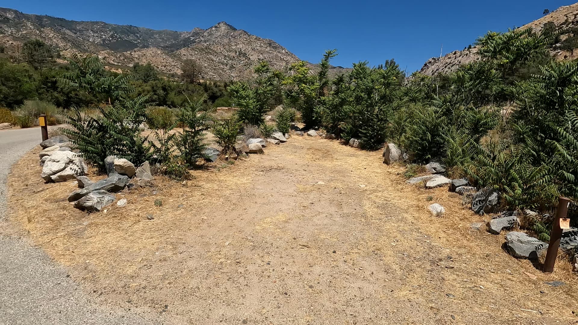 Site 19